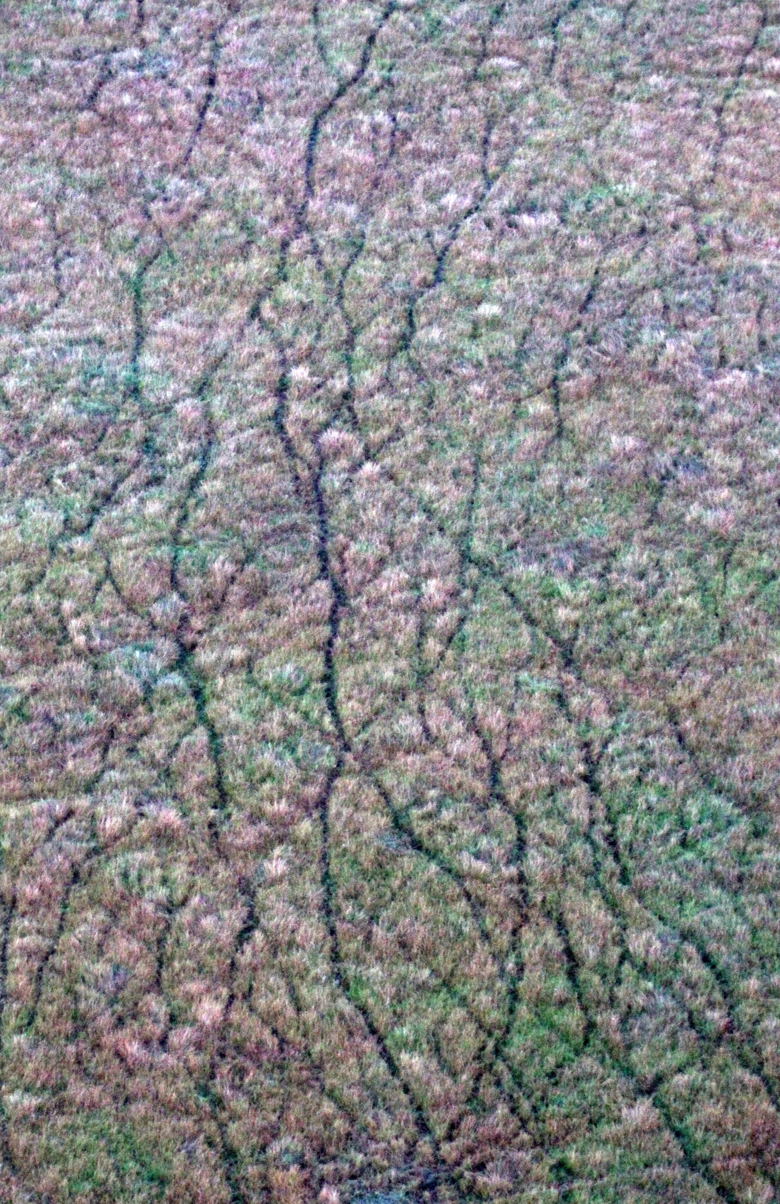 MASAI MARA NATIONAL PARK KENYA (197).JPG