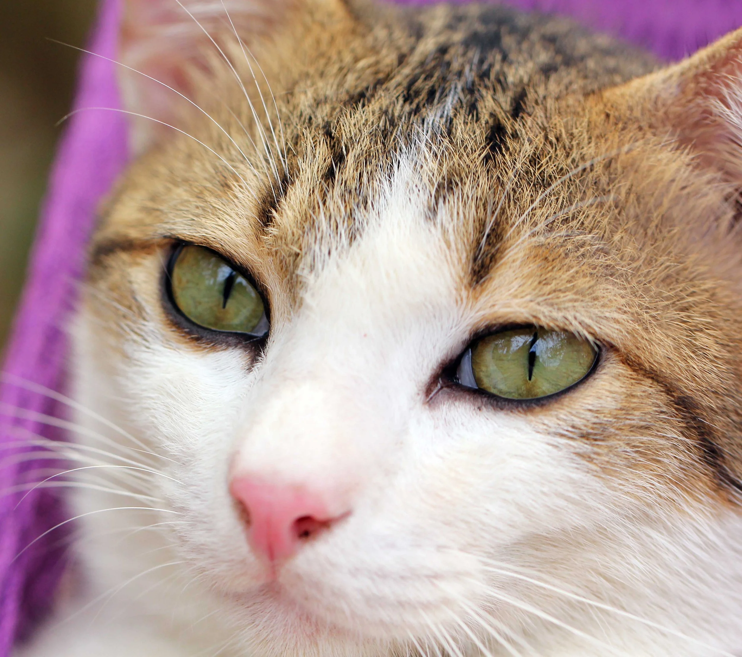 2015 Koh Lanta Songkran with friends from ISB (362).JPG