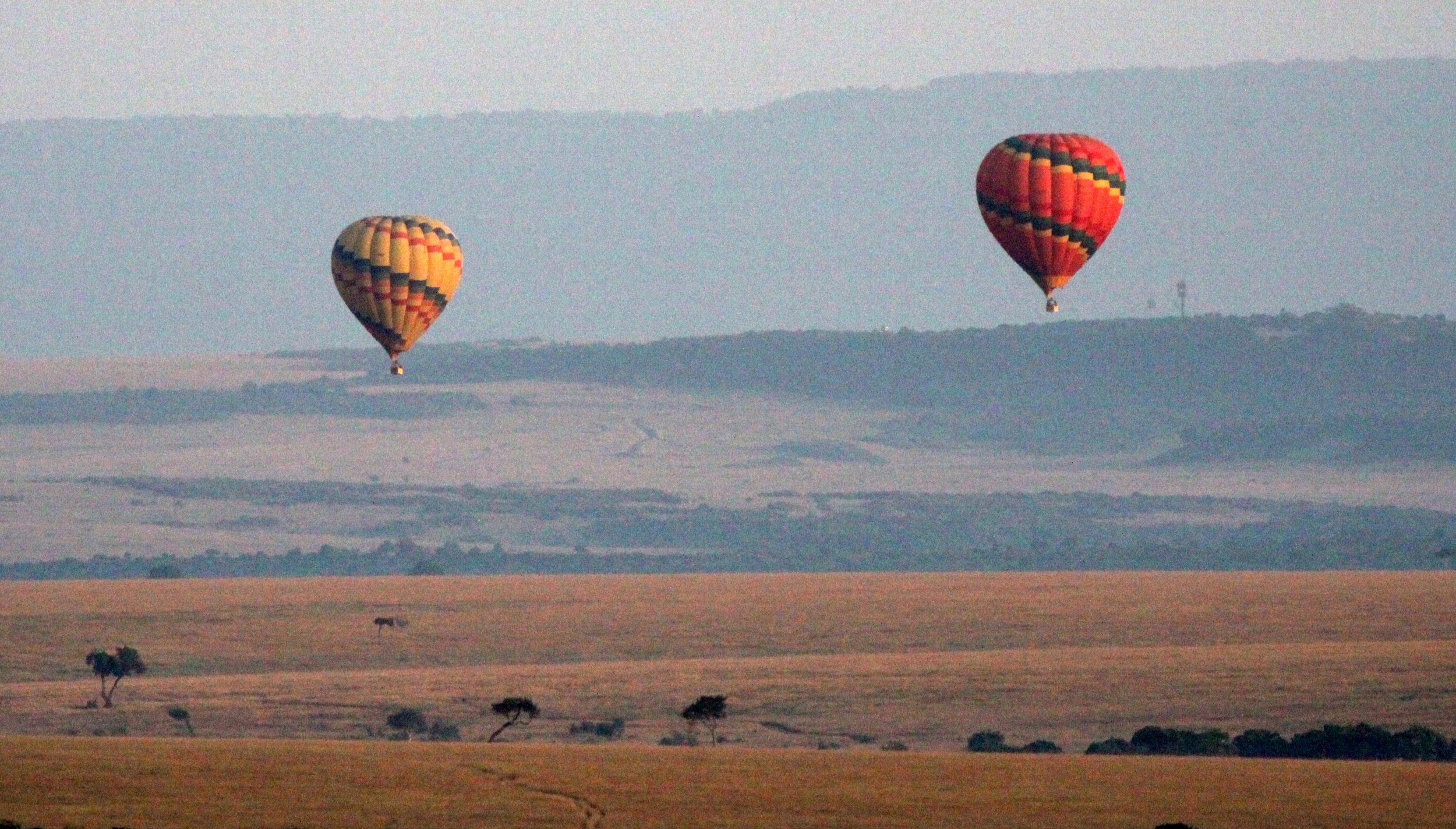 MASAI MARA NATIONAL PARK KENYA (209).JPG