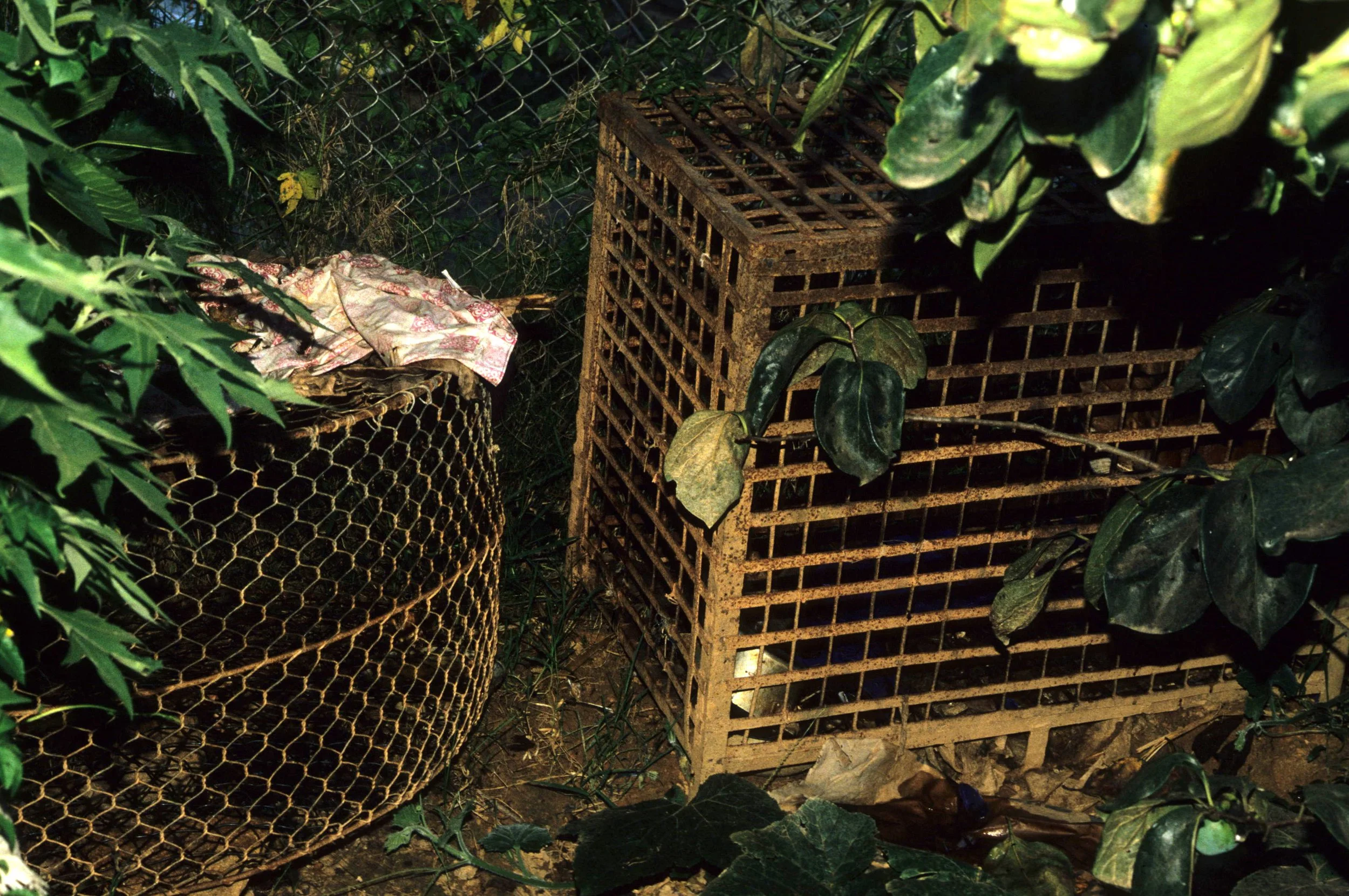 DALAT - POACHERS HUT - 1994 (7).jpg