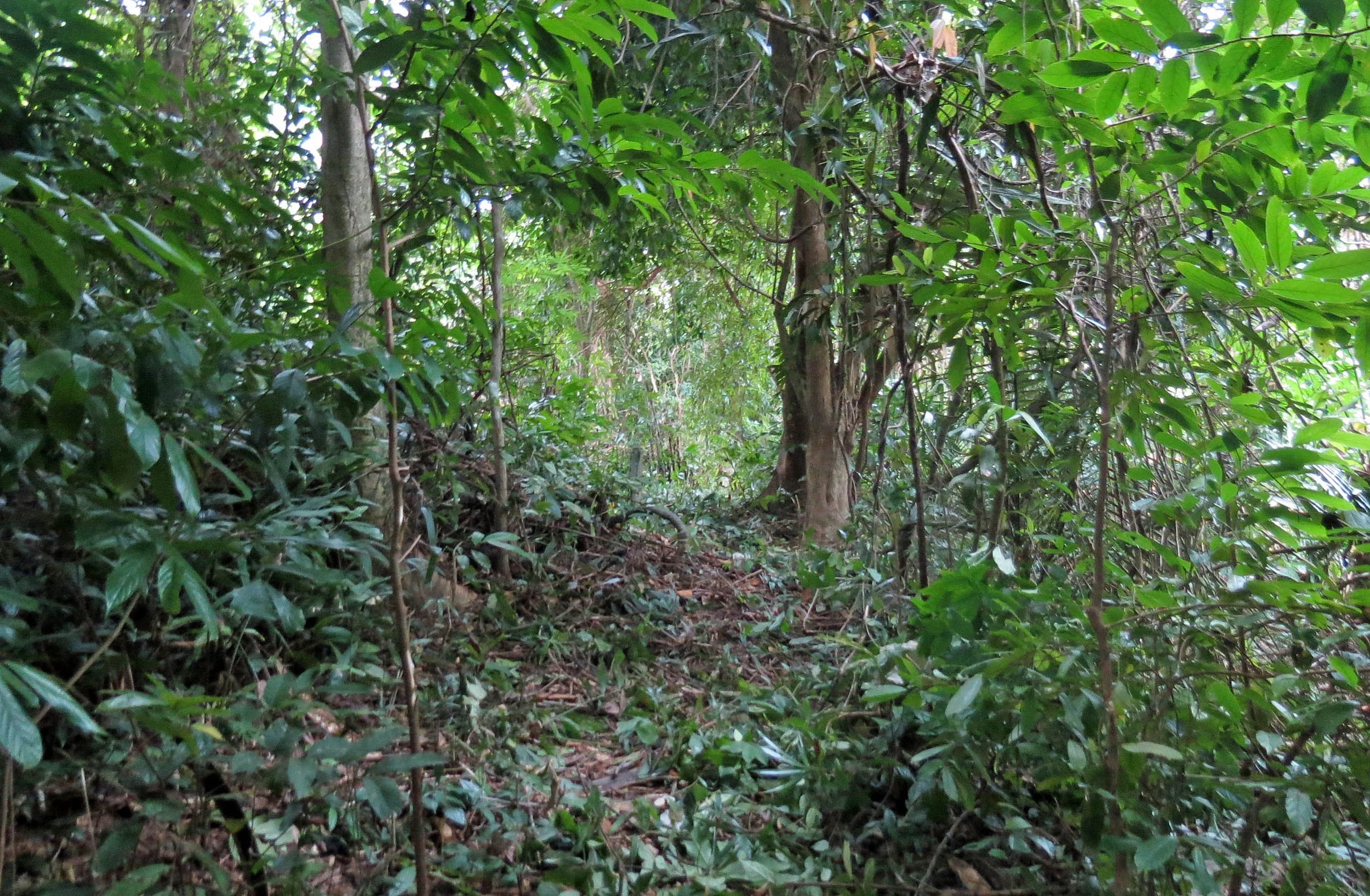 2014 Koh Lanta Build (136).JPG