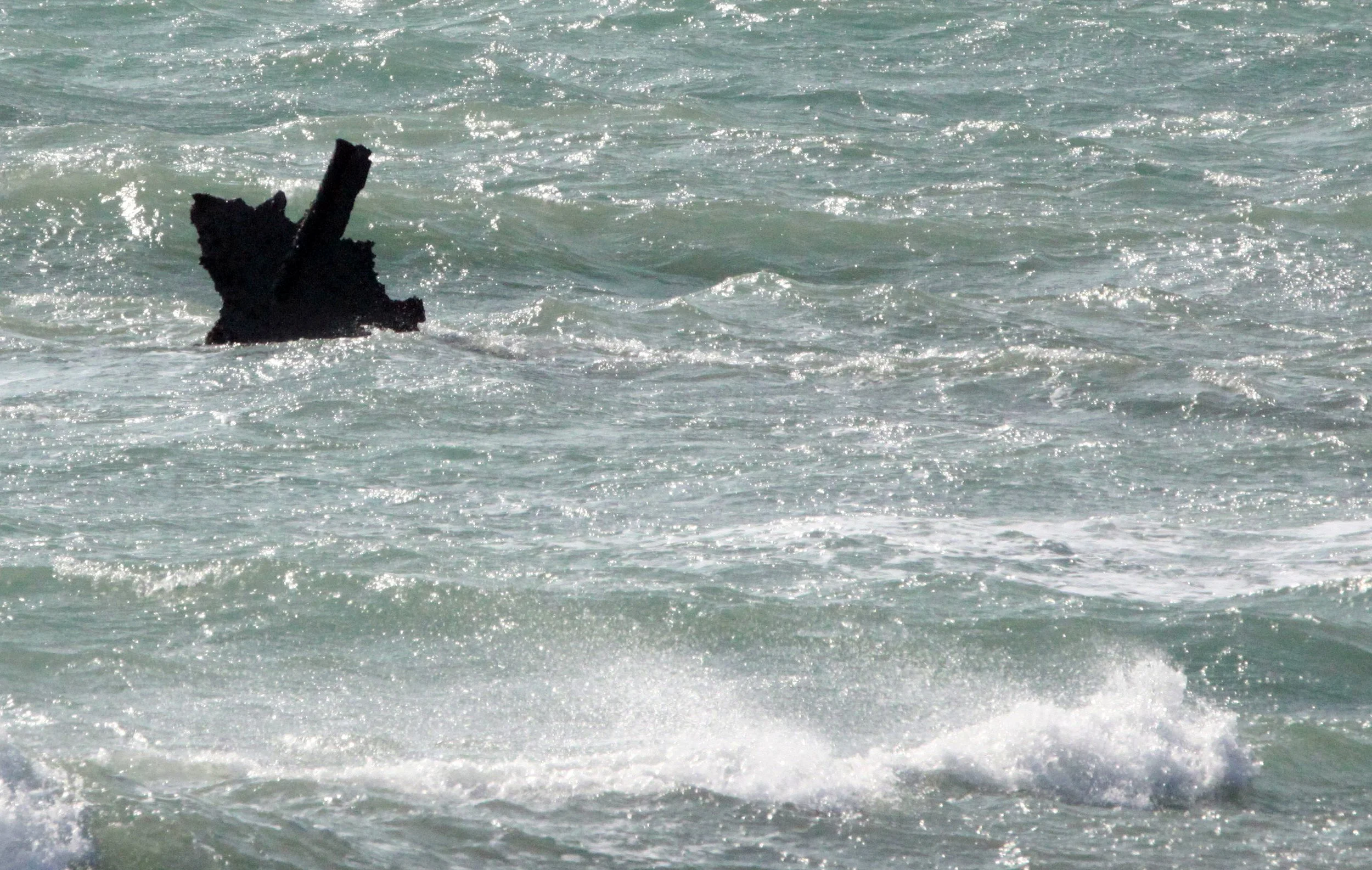 SHIZUOKA COASTLINE JAPAN (11).JPG