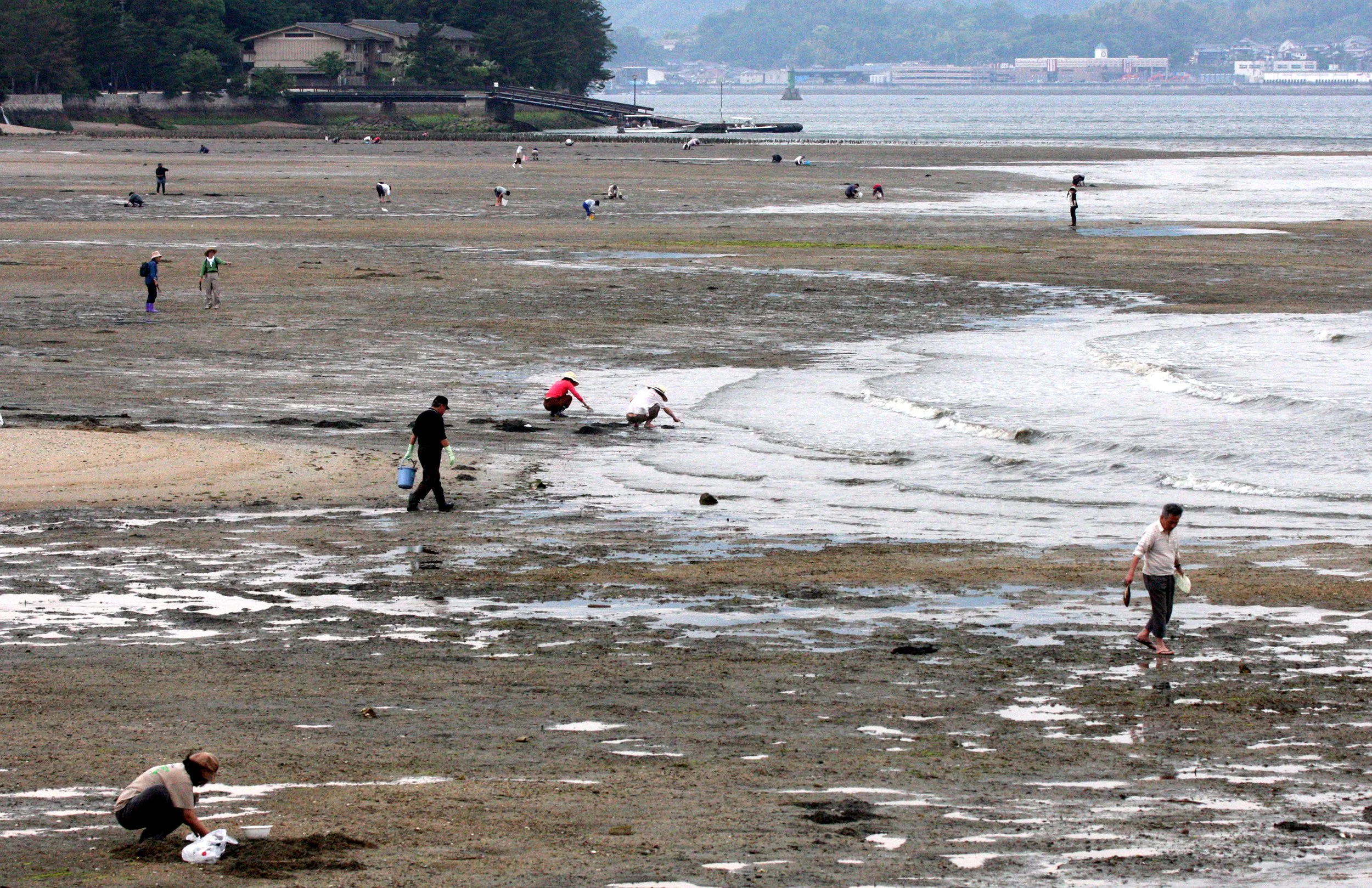 MIYAJIMA - MAY 2009 - SCENES AND LANDSCAPES (25).JPG