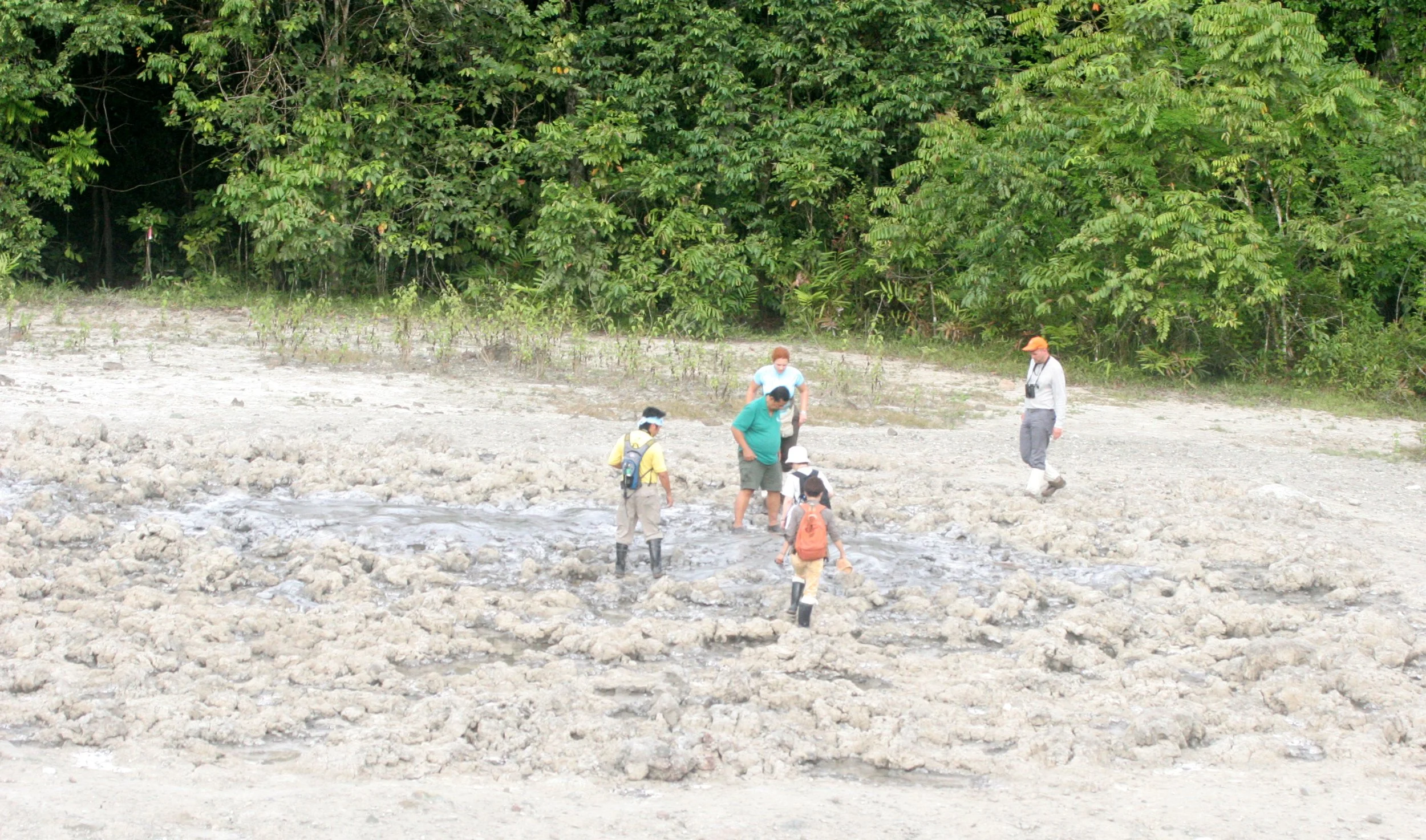 TABIN WILDLIFE RESERVE BORNEO - MUD VOLCANO (4).JPG