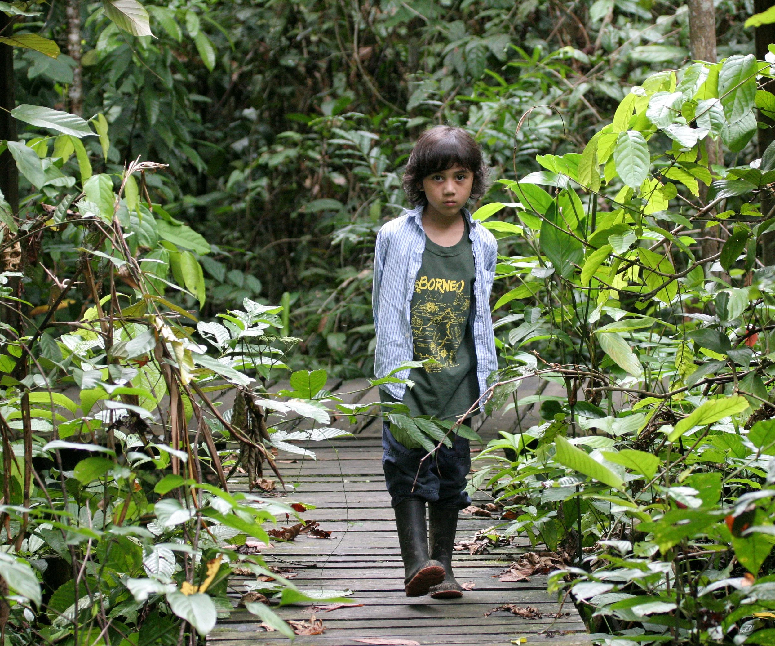 KINABATANGAN RIVER BORNEO - JUNGLE TREKKING (2).JPG