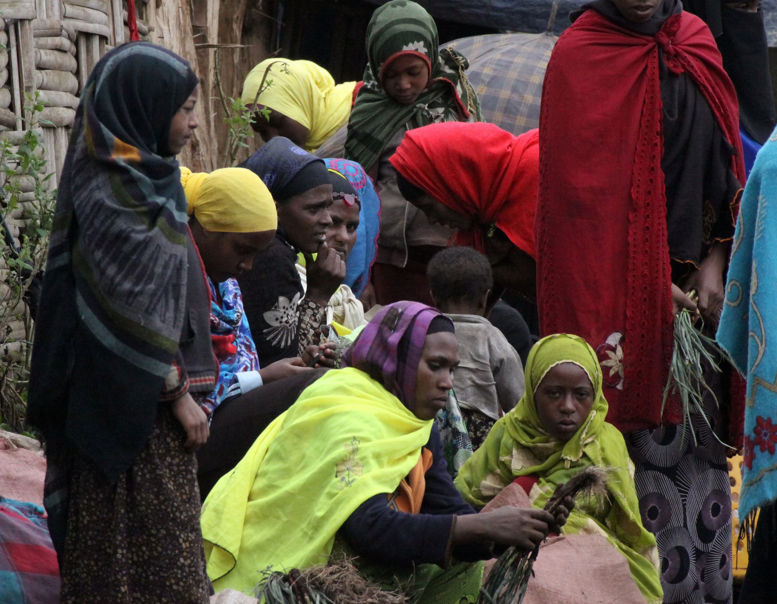 BALE MOUNTAINS NATIONAL PARK ETHIOPIA - HARRENA FOREST (14).JPG