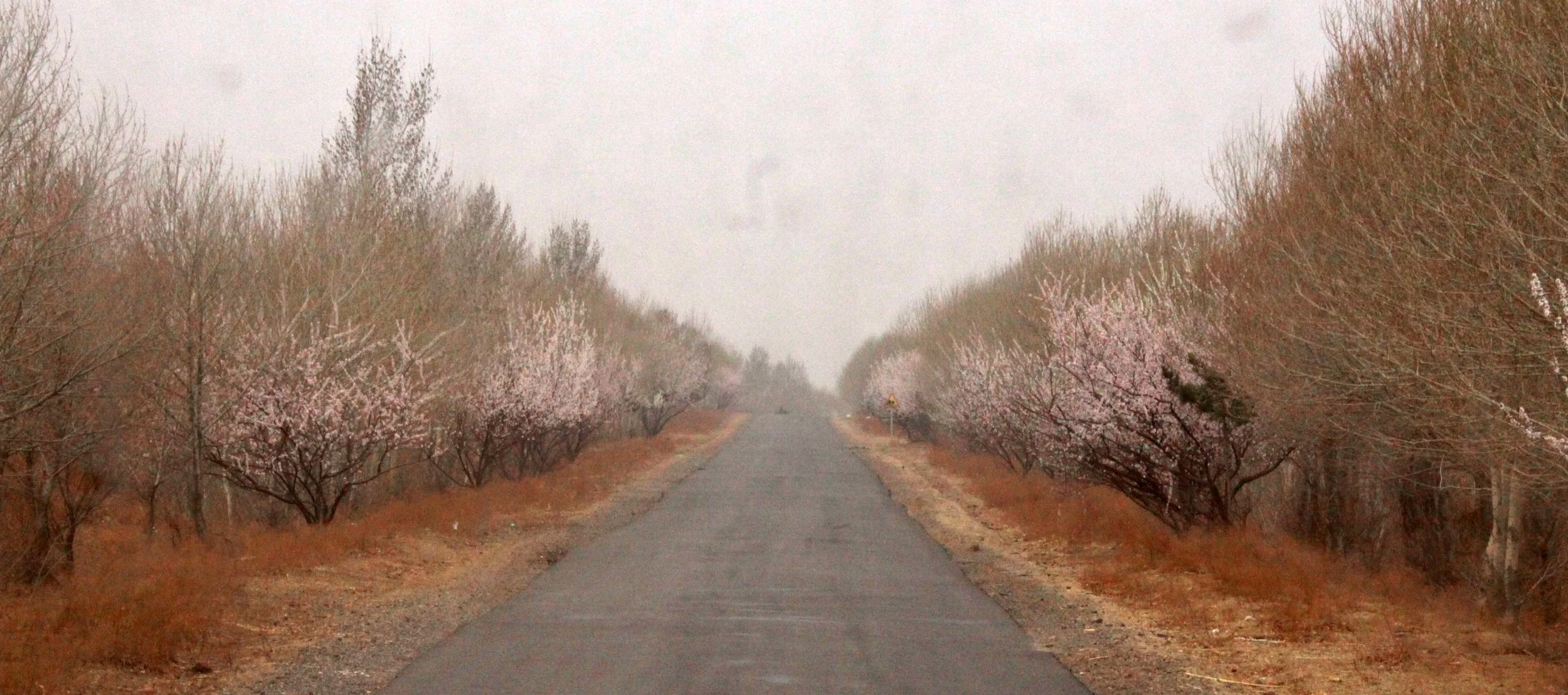 KULUN QI & SURROUNDING VILLAGES - INNER MONGOLIA CHINA (47).JPG