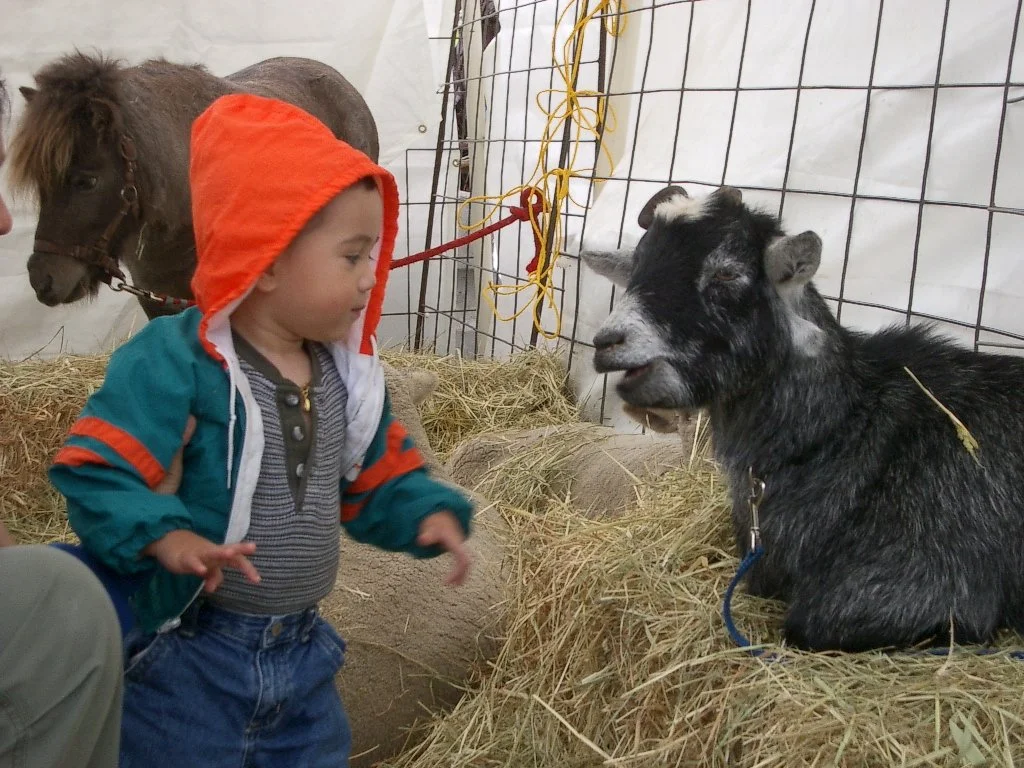 2003-10-12 CRAB FEST CRITTERS (6).JPG