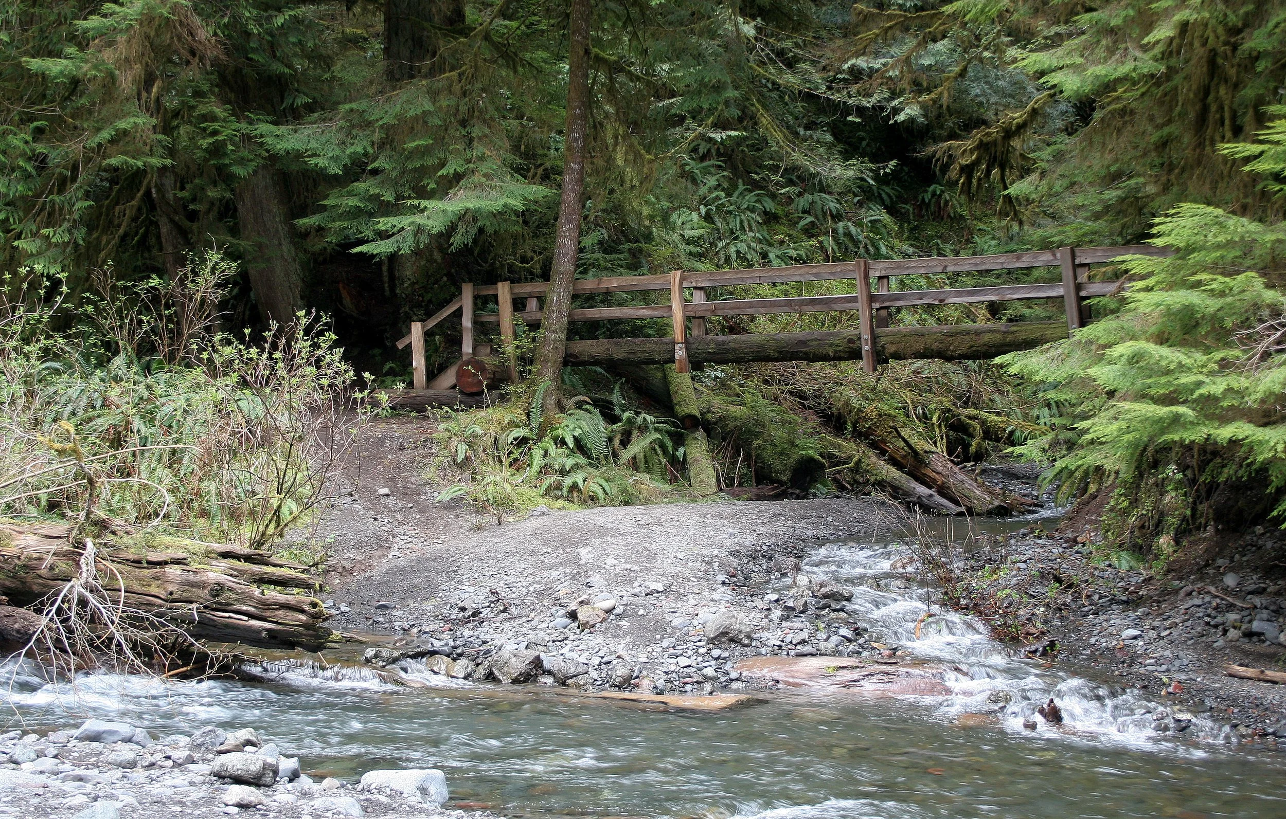 BARNES CREEK AND SURROUNDING FOREST (39).JPG