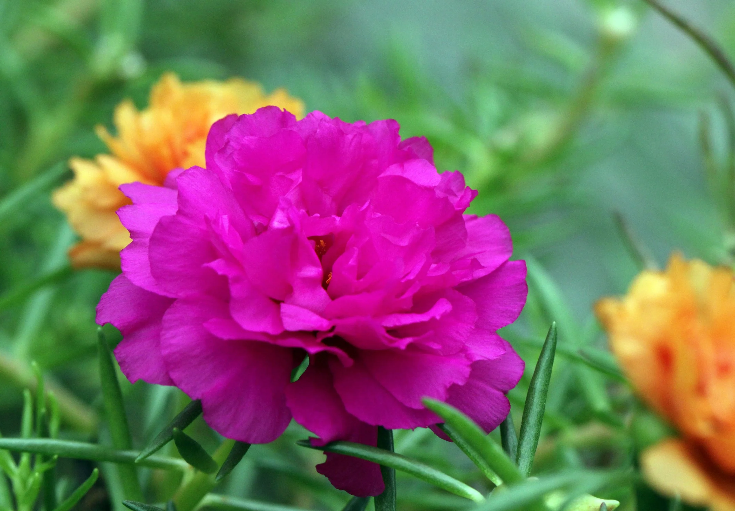 2013 Cha'am and Petchaburi with Family & Friends (43).JPG