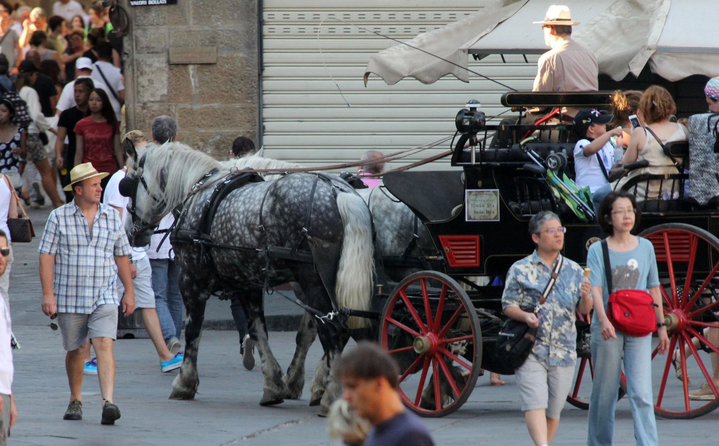 FLORENCE ITALY - JULY 2013 (130).JPG
