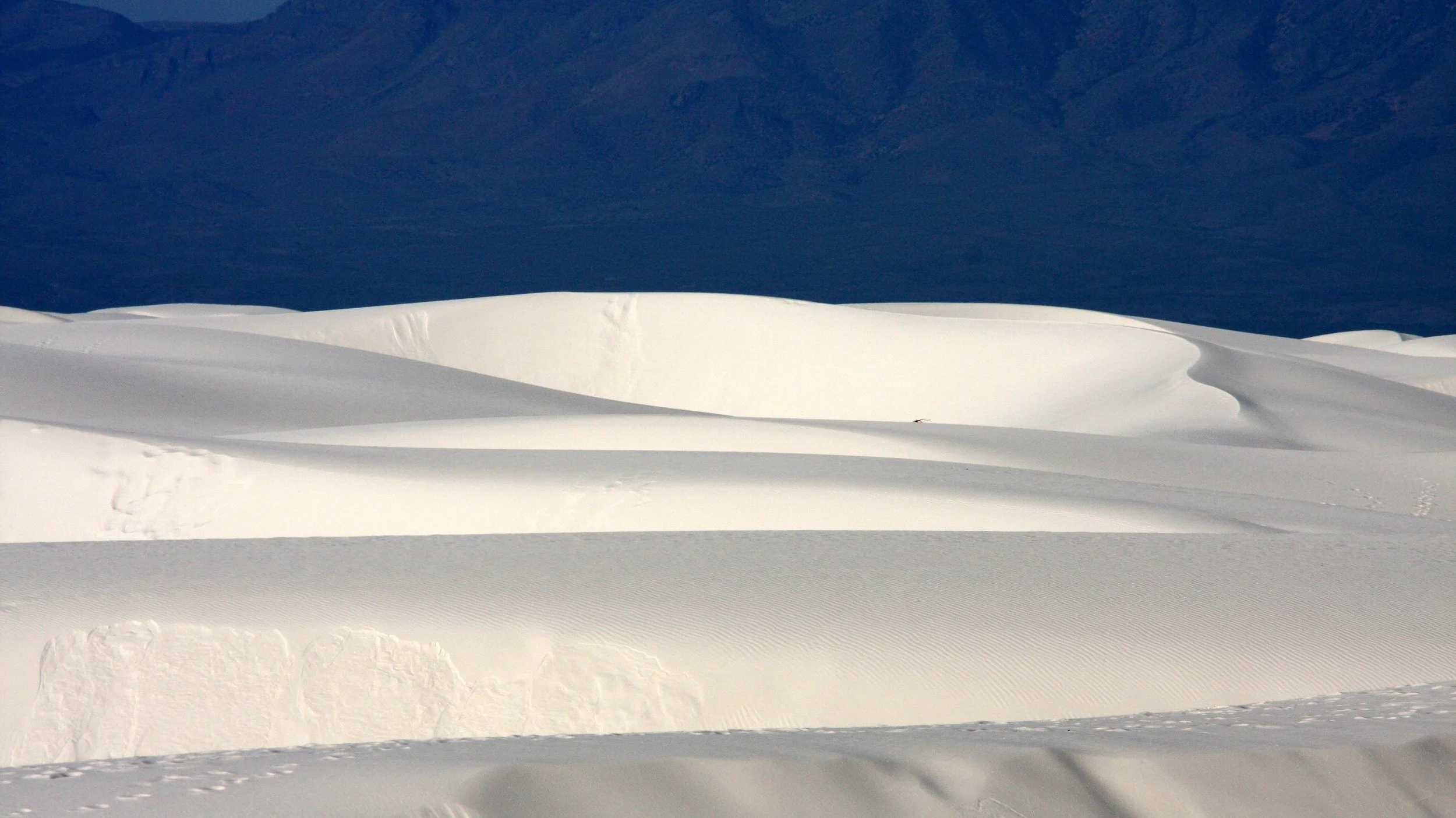 WHITE SANDS NATIONAL MONUMENT - JUNE 2010 (14).JPG
