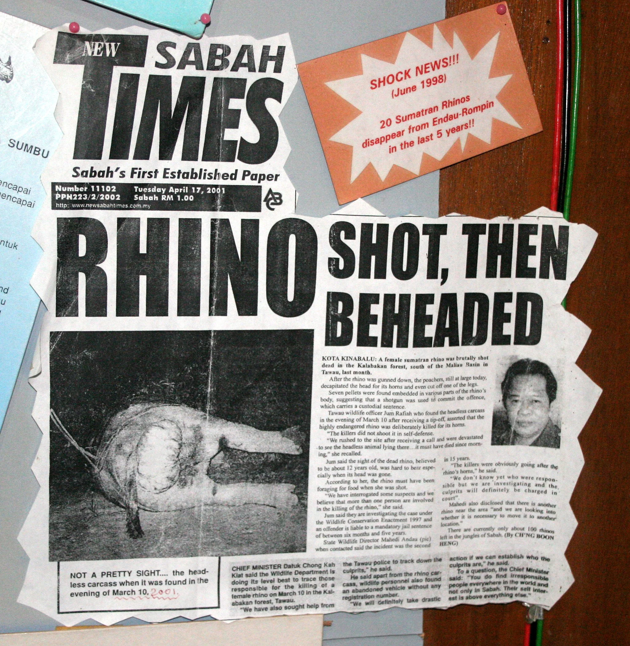 DANUM VALLEY BORNEO - RHINO SOS (2).JPG