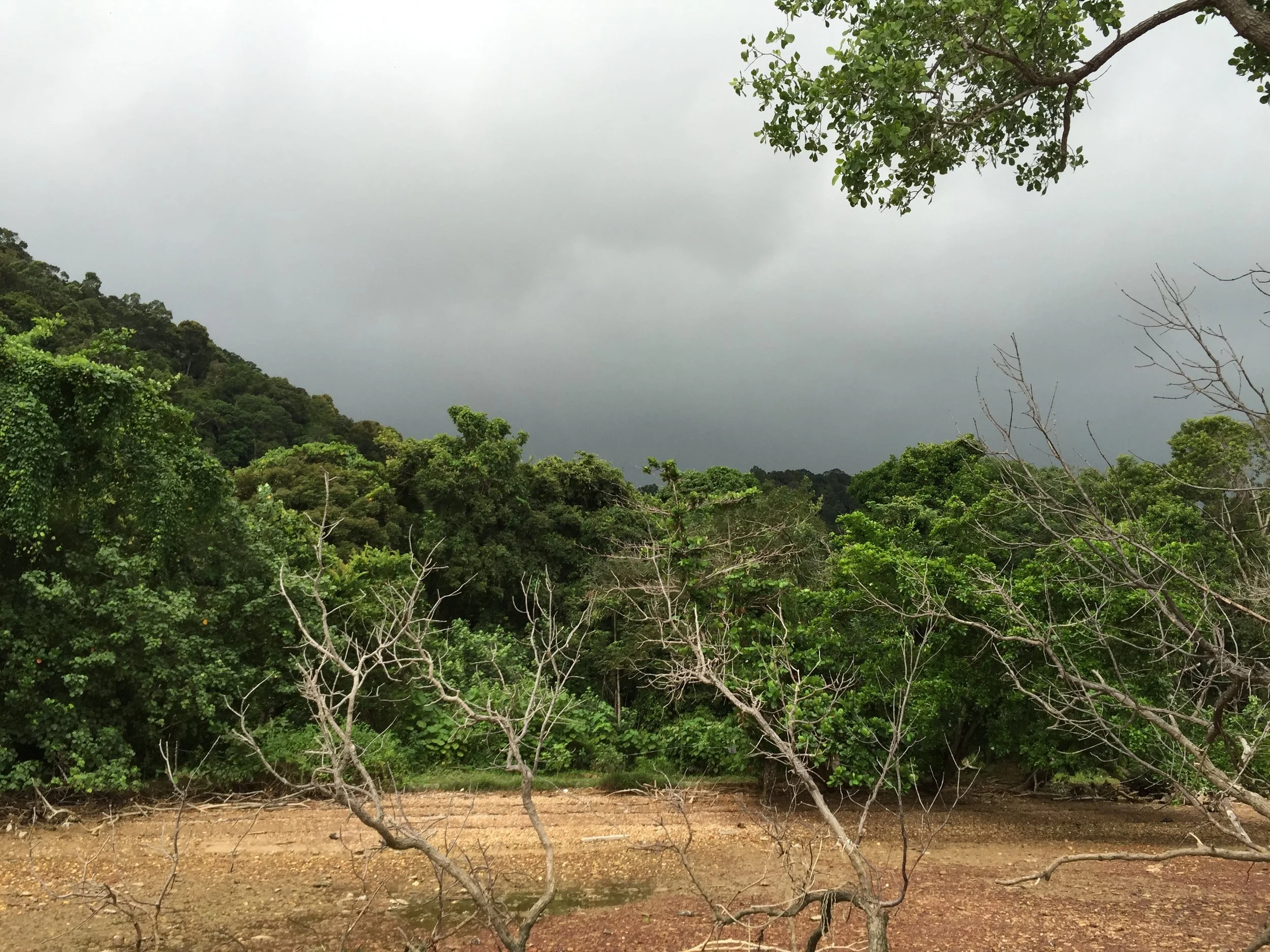 2015 Koh Lanta Garden & Nature (212).JPG