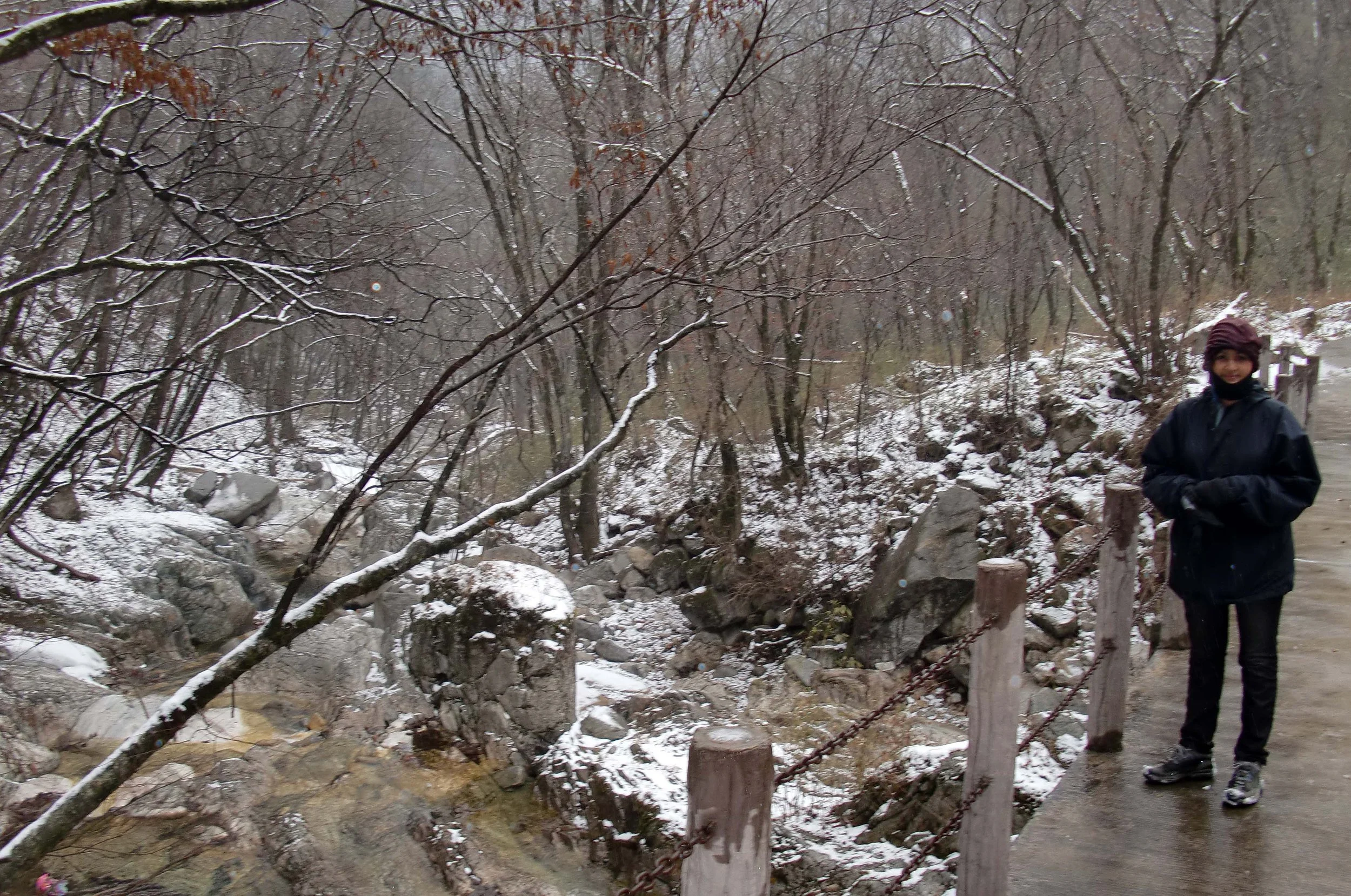 FOPING NATURE RESERVE - SHAANXI PROVINCE CHINA (26).JPG