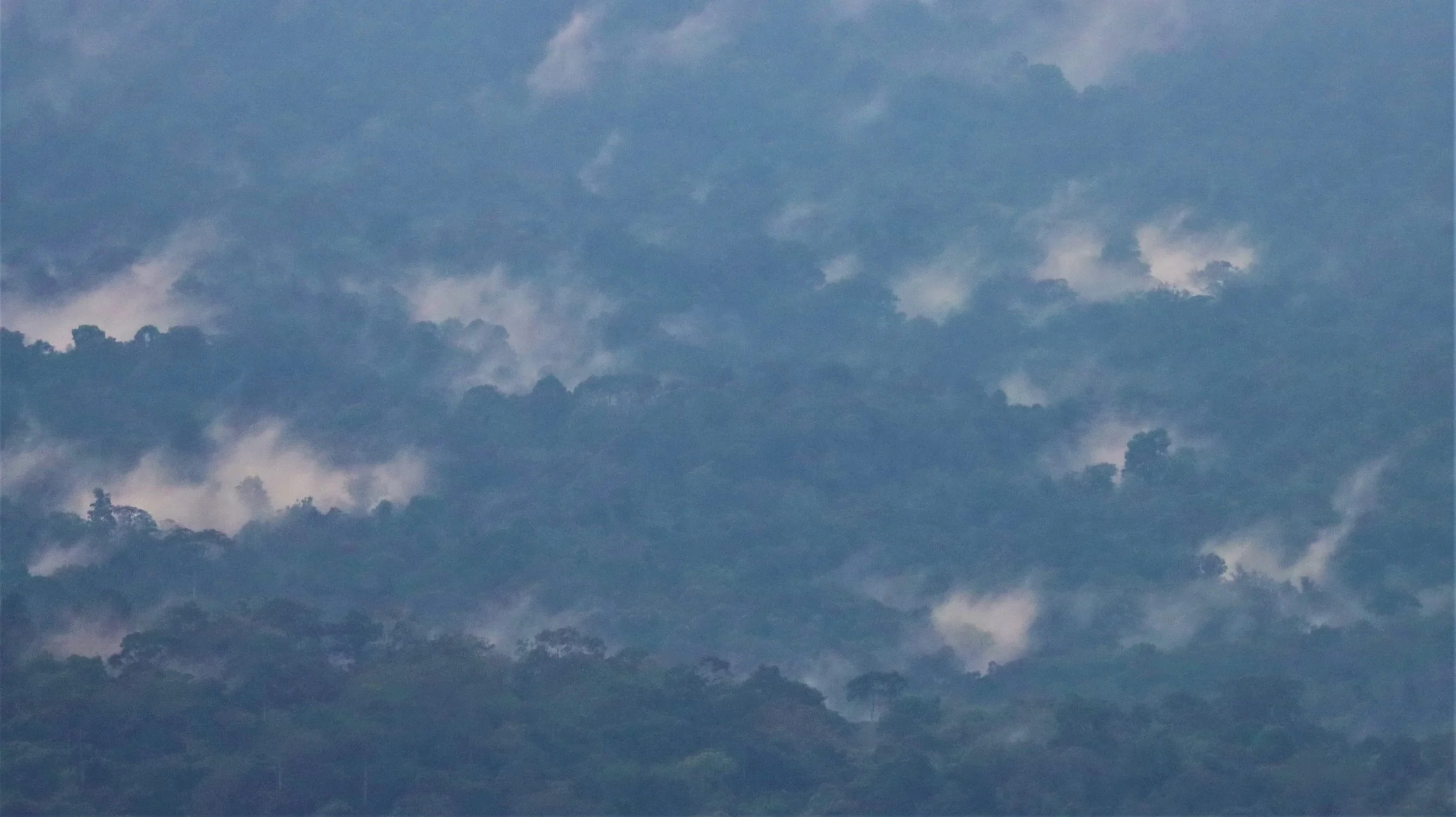 KHAO YAI NP SEP 18 2021 (183).jpg