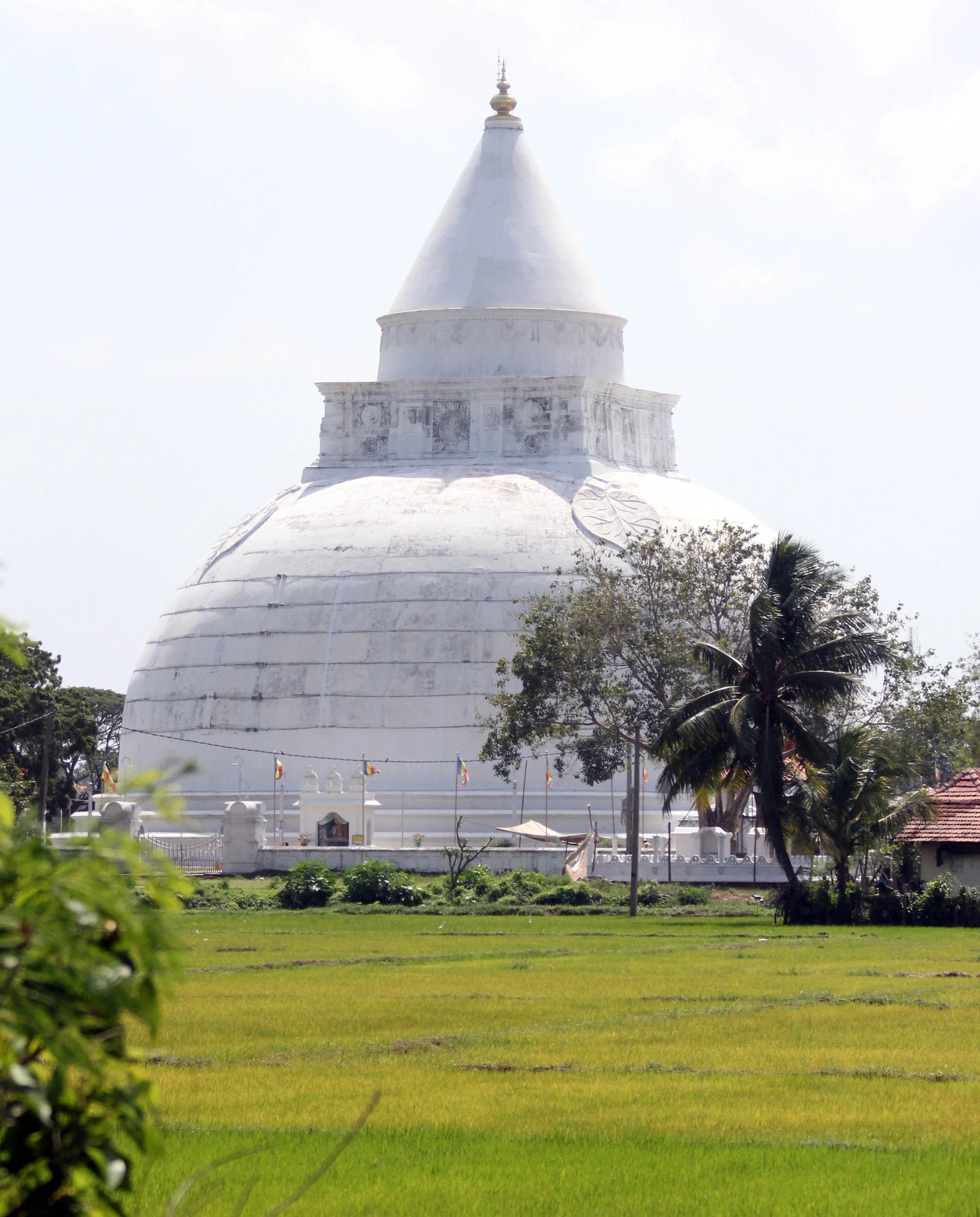 KIRINDA SRI LANKA - NEAR YALA NATIONAL PARK (7).JPG