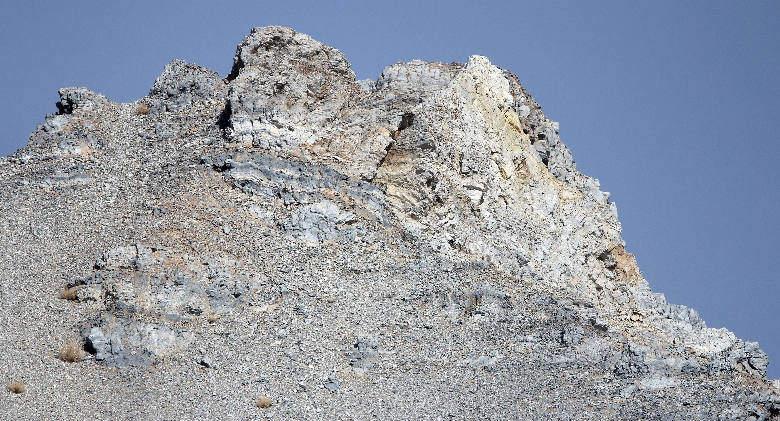 LOP NUR WILD BACTRIAN CAMEL RESERVE - XINJIANG CHINA (127).JPG
