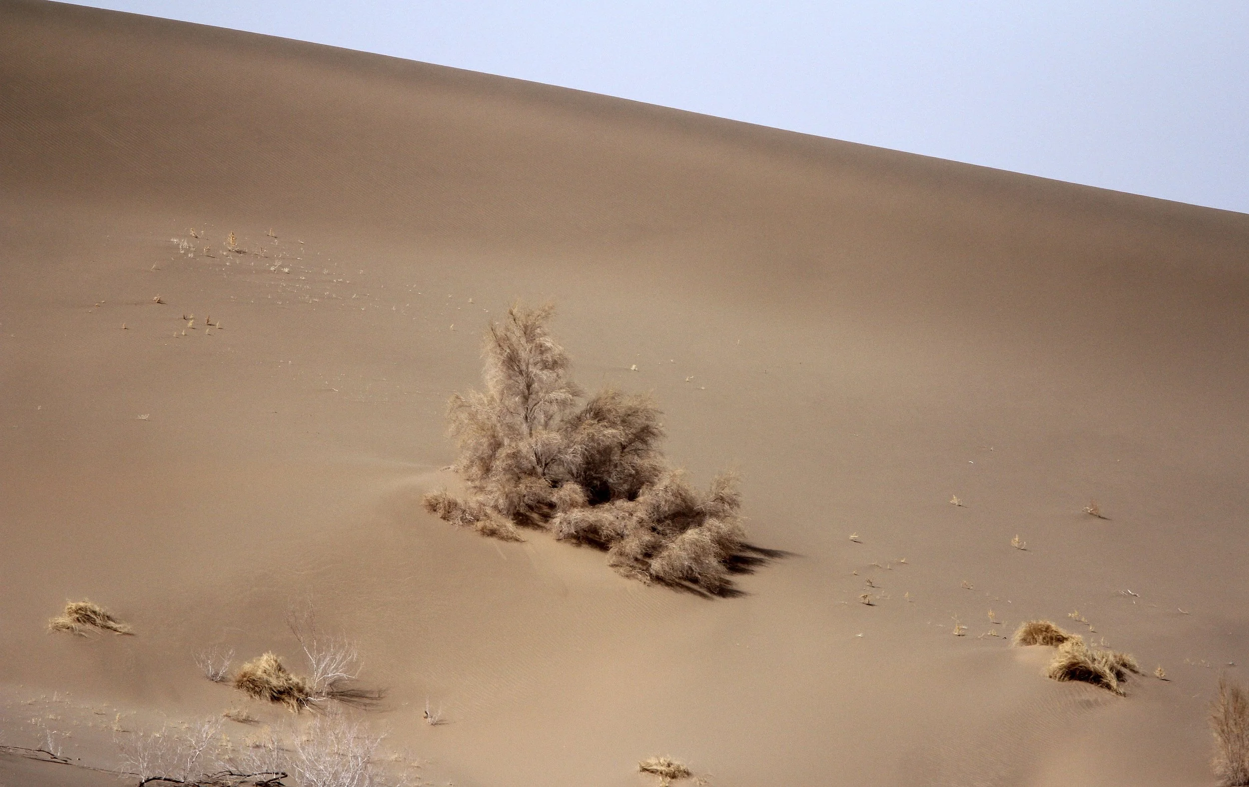 GANSU - DUNES SOUTH OF DUNHUANG - CHINA (45).JPG