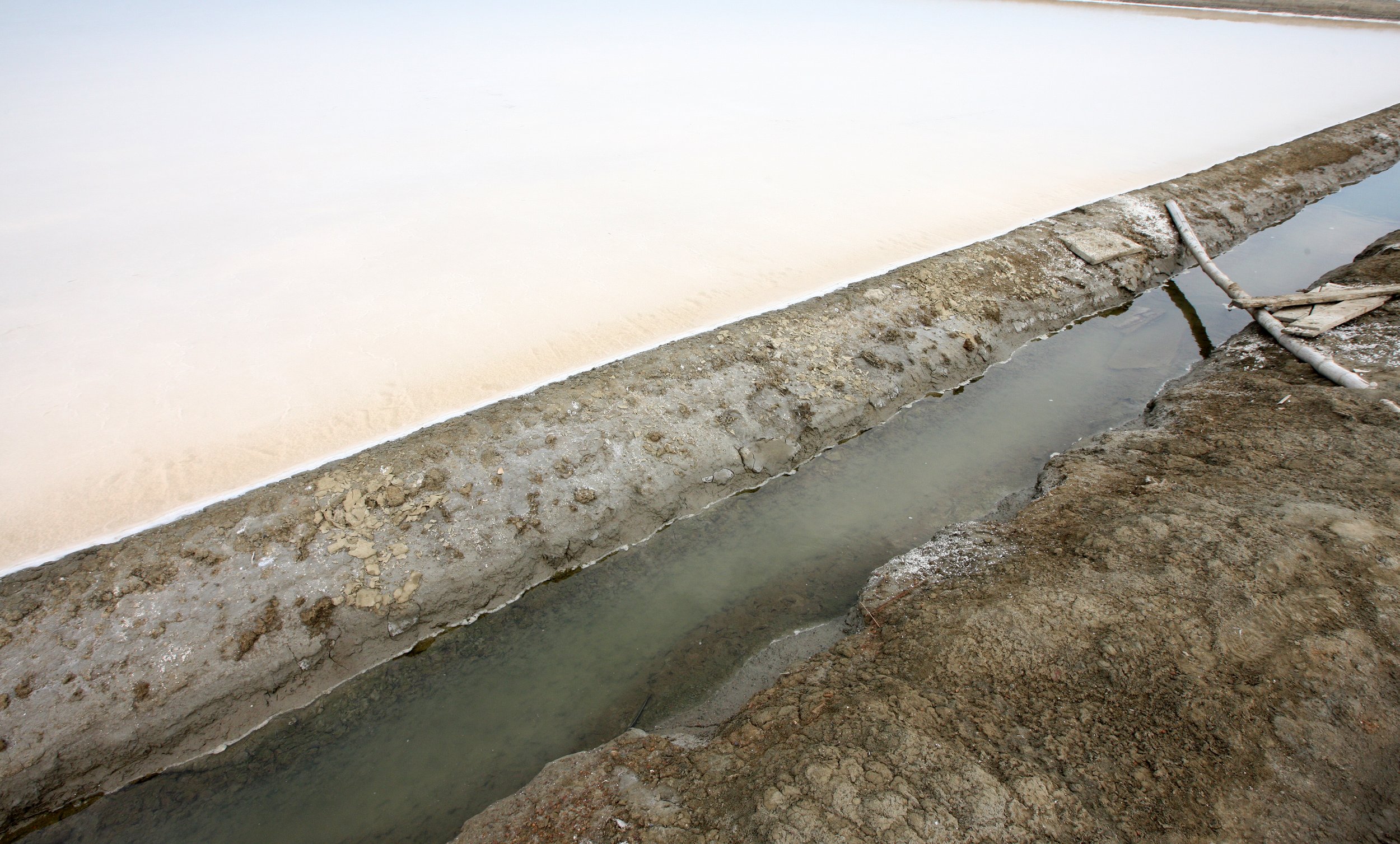 2011 Pak Thale Salt Ponds (21).JPG