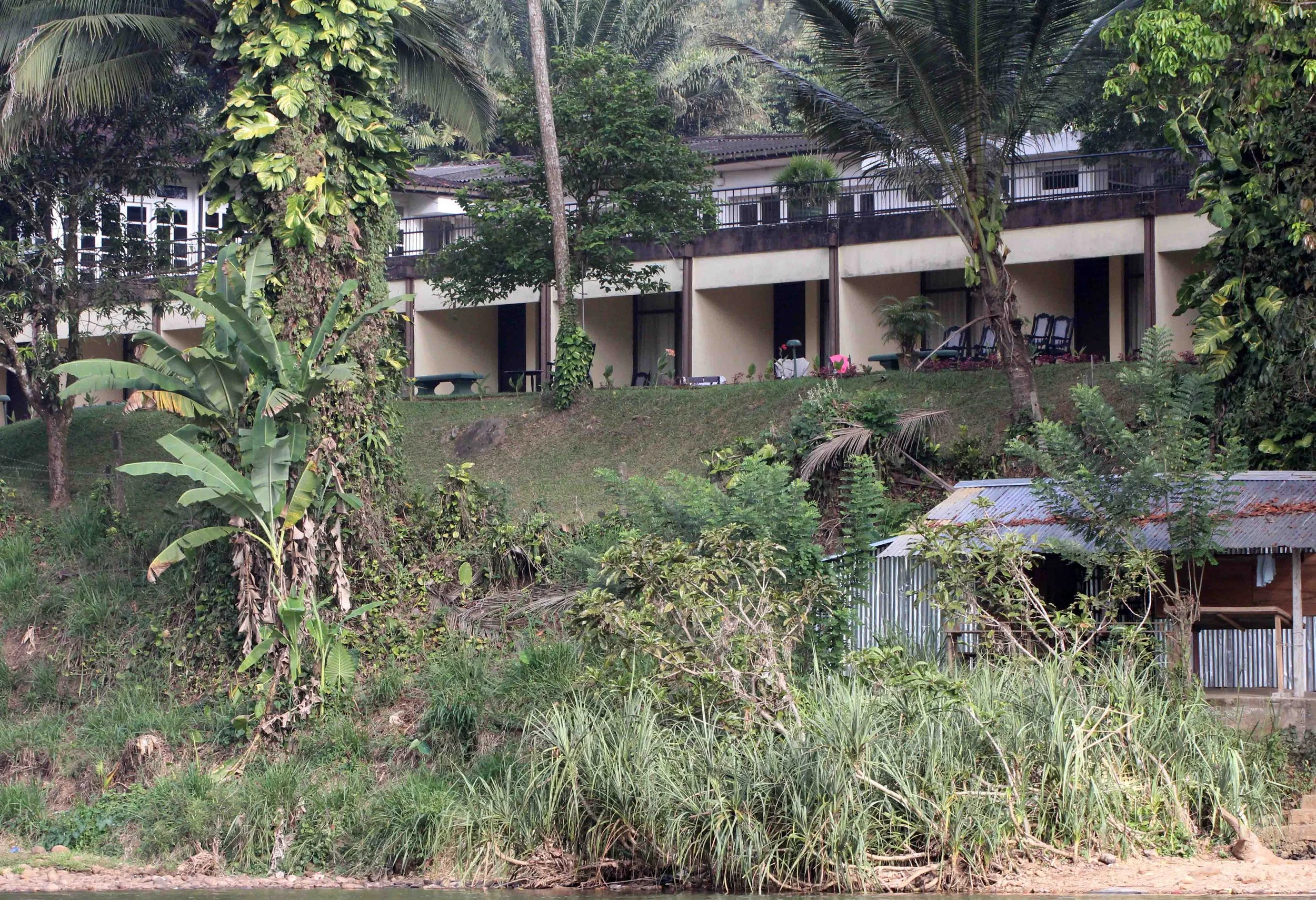 KITULGALA FOREST PRESERVE, SRI LANKA (28).JPG