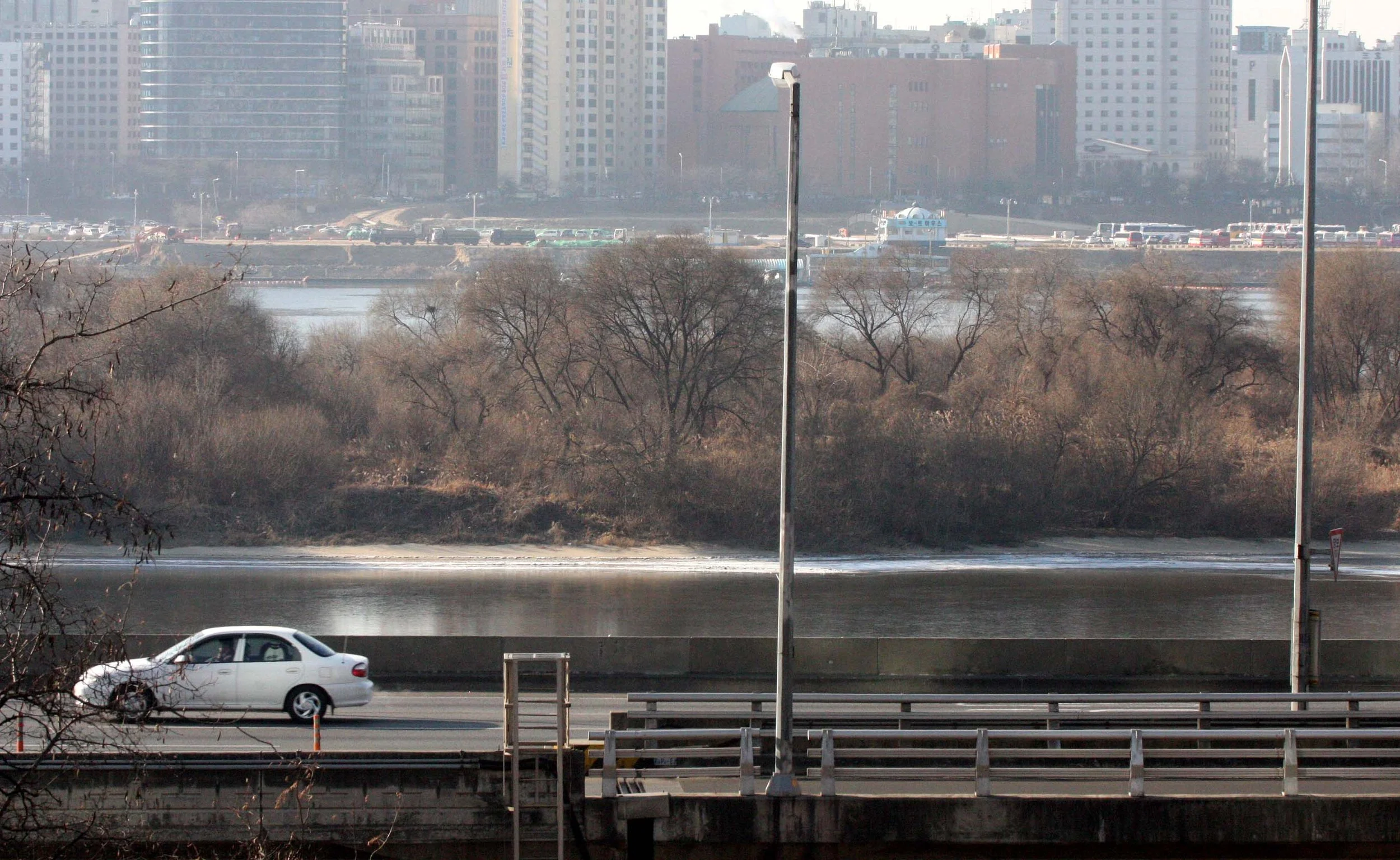 SEOUL - BIRDING AT BAMSOEN ISLAND KOREA (13).JPG