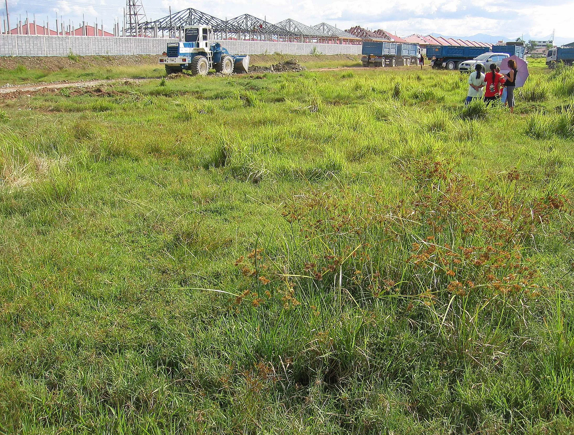 2005 Nakhonsithammarat Property near Tesco (7).JPG