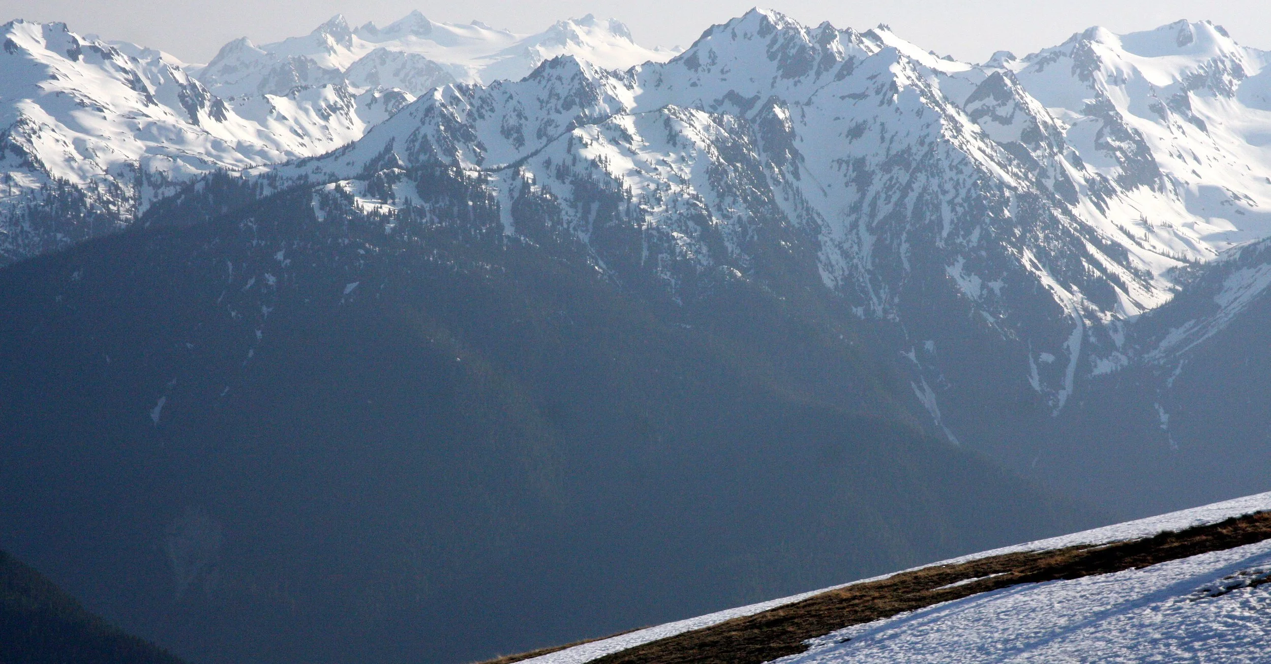 HURRICANE RIDGE - VIEW FROM - SPRING 2009 (3).JPG