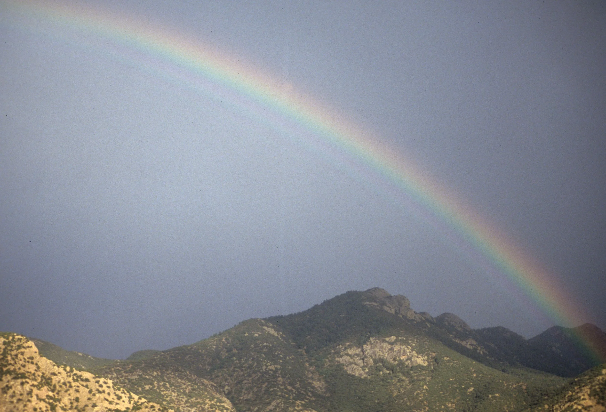 ARIZONA - MADERA CANYON - RESEARCH - MONSOONS COMING.jpg