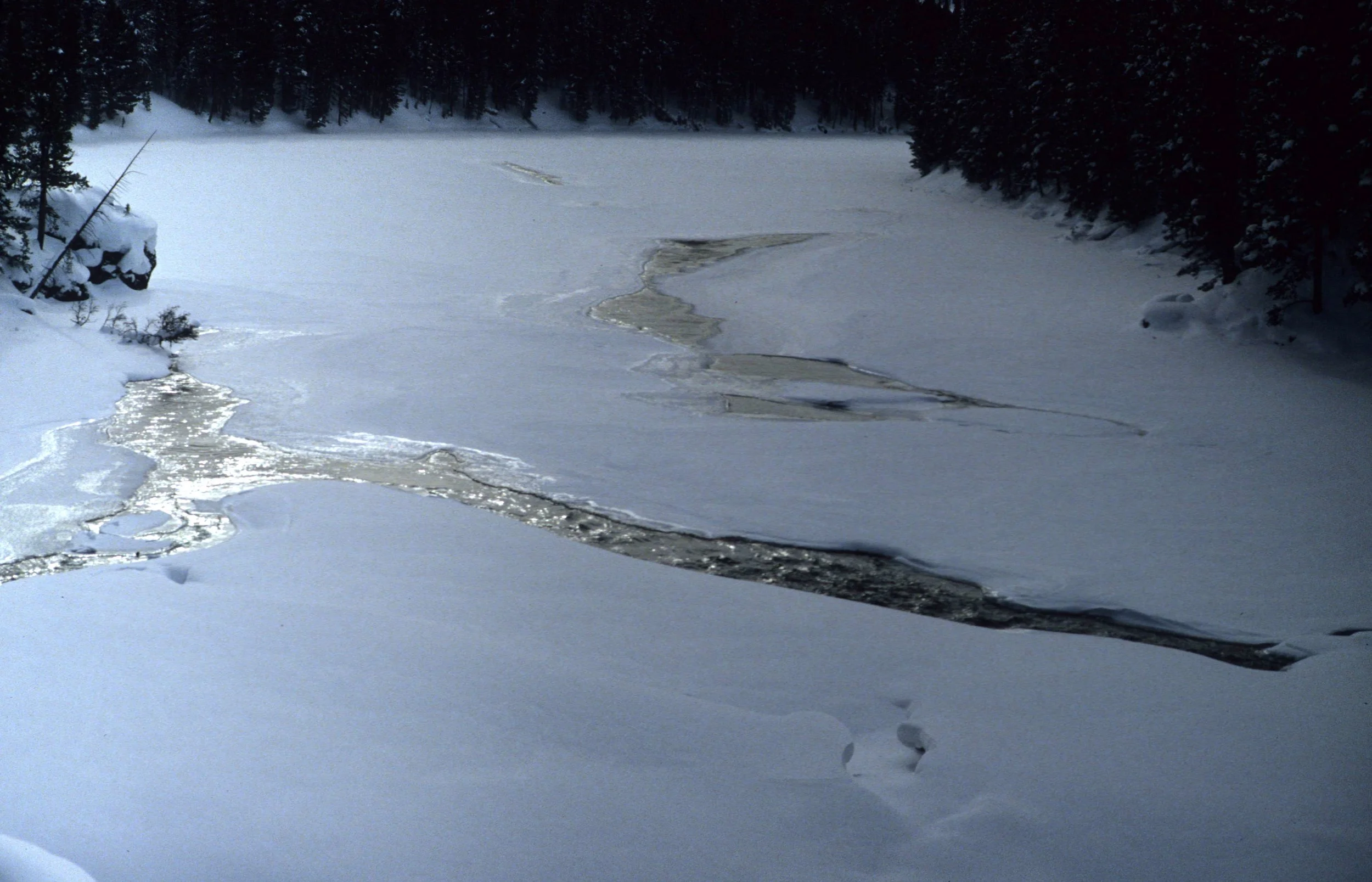 YELLOWSTONE IN WINTER E.jpg
