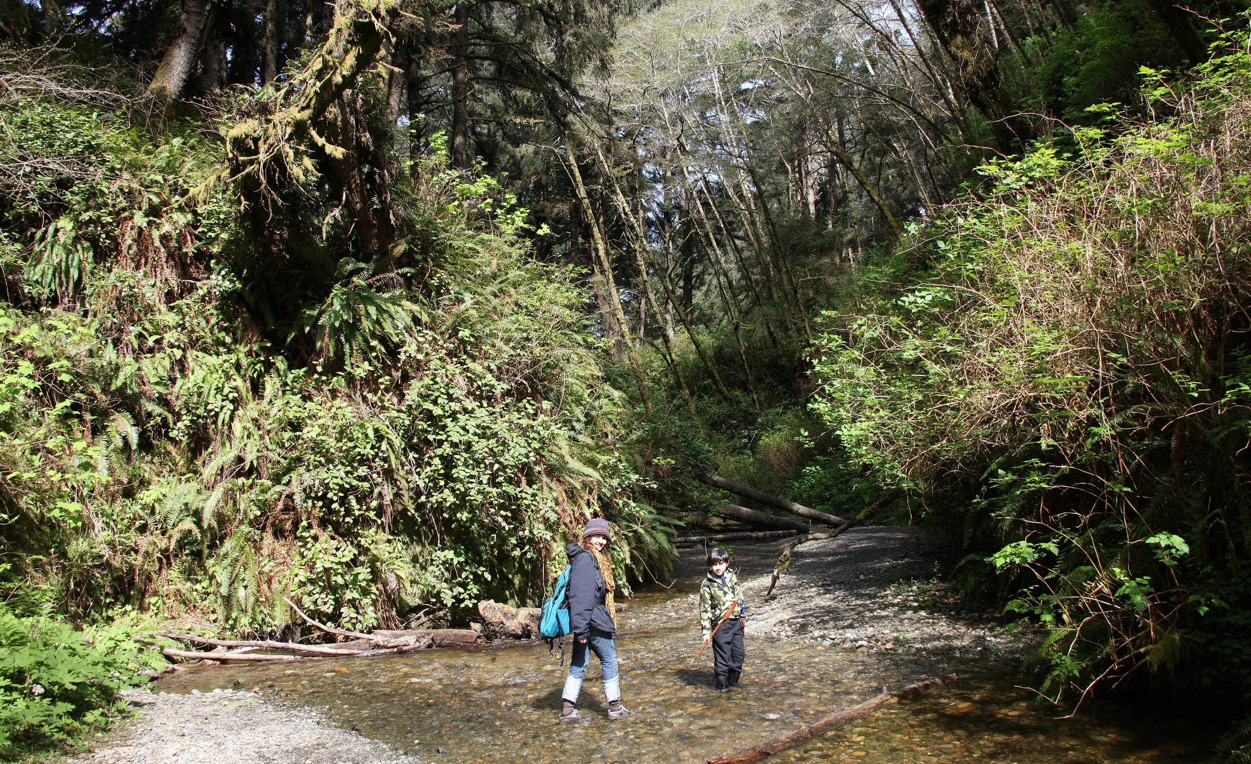 2010-3-30 PRAIRIE CREEK HIKE IN TO FERN CANYON CALIFORNIA.JPG