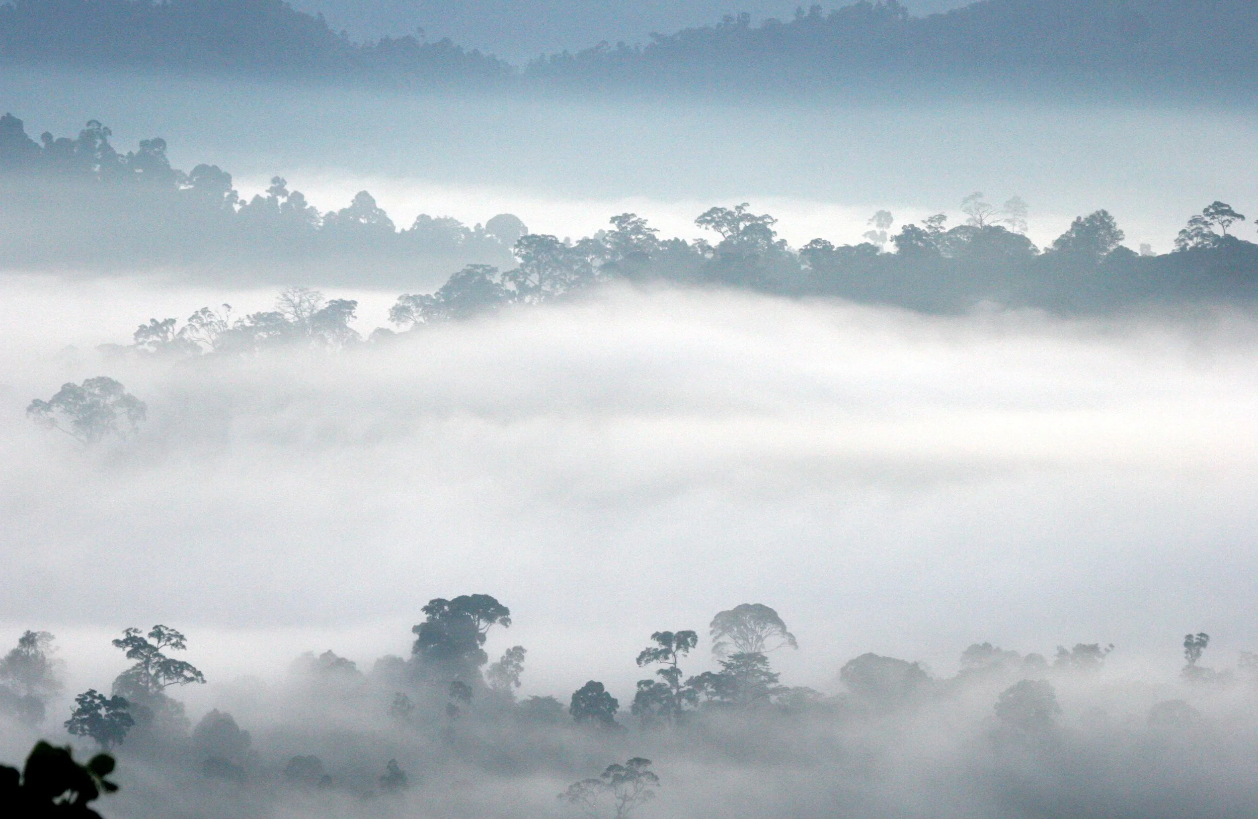 DANUM VALLEY BORNEO - SUNRISE OVER THE DANUM (43).JPG