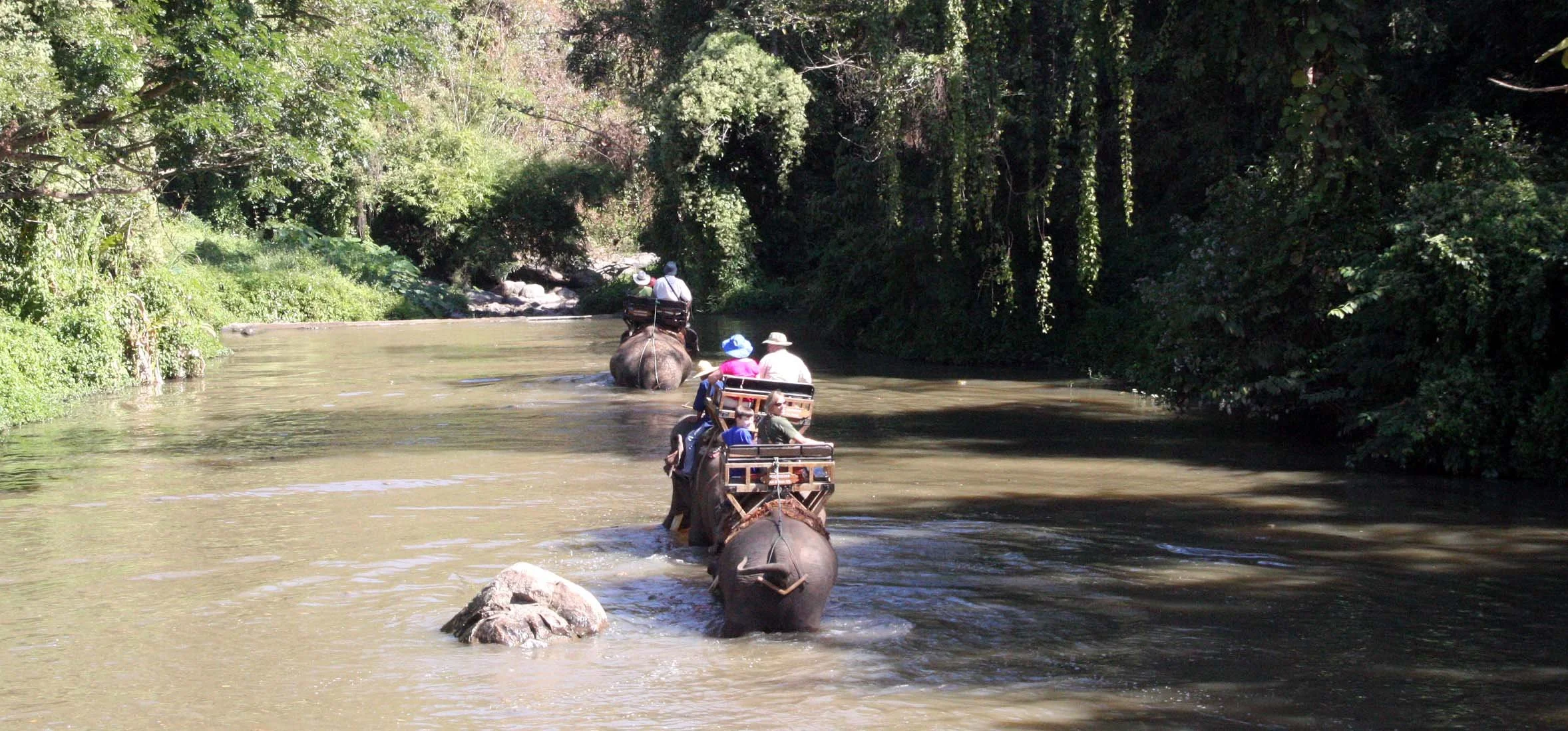 2008 Lampang City & Elephant Center (23).JPG