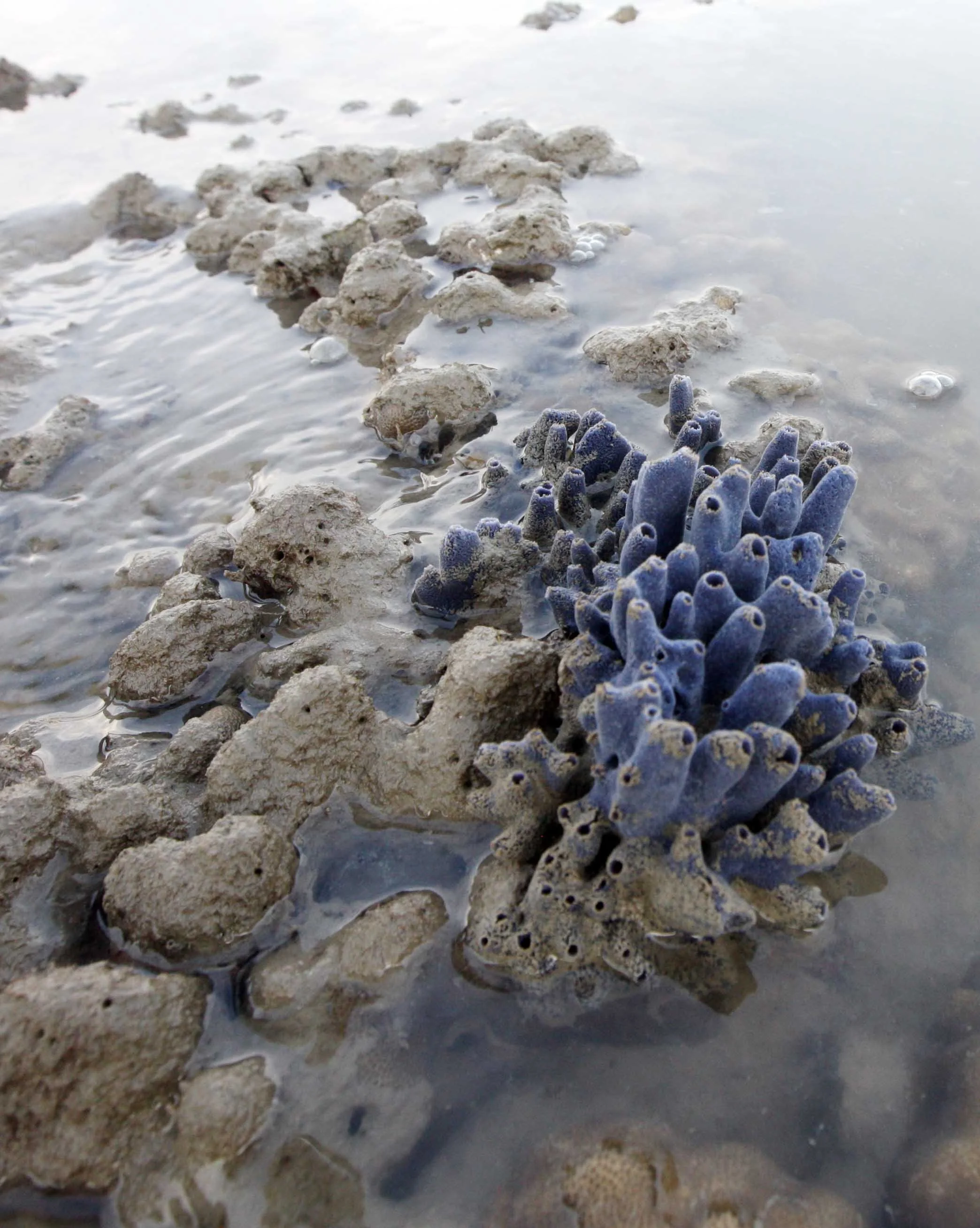 2015 Koh Lanta Songkran with friends from ISB (250).JPG