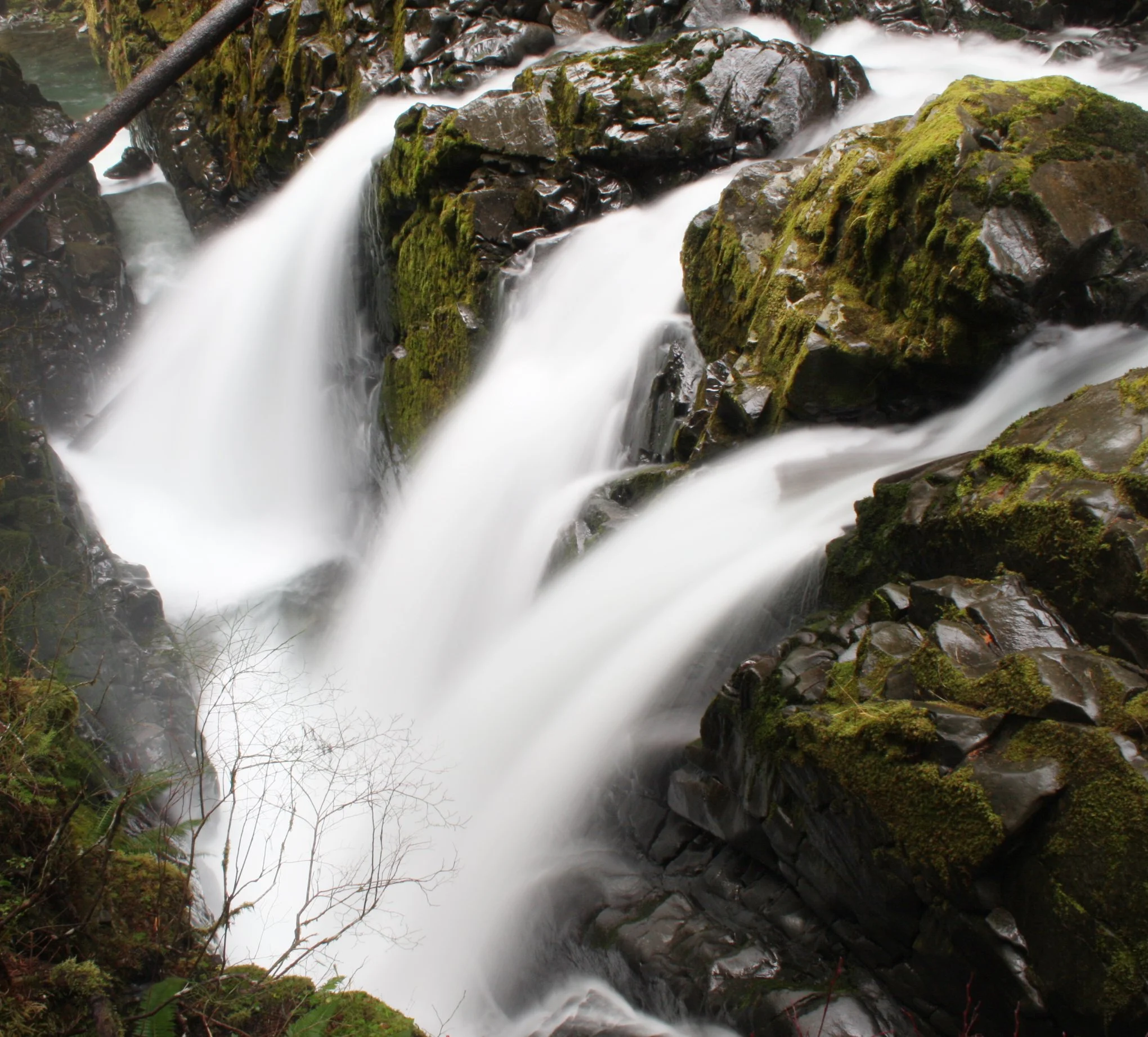 SOL DUC FALLS AND FOREST - ONP WA (42).JPG