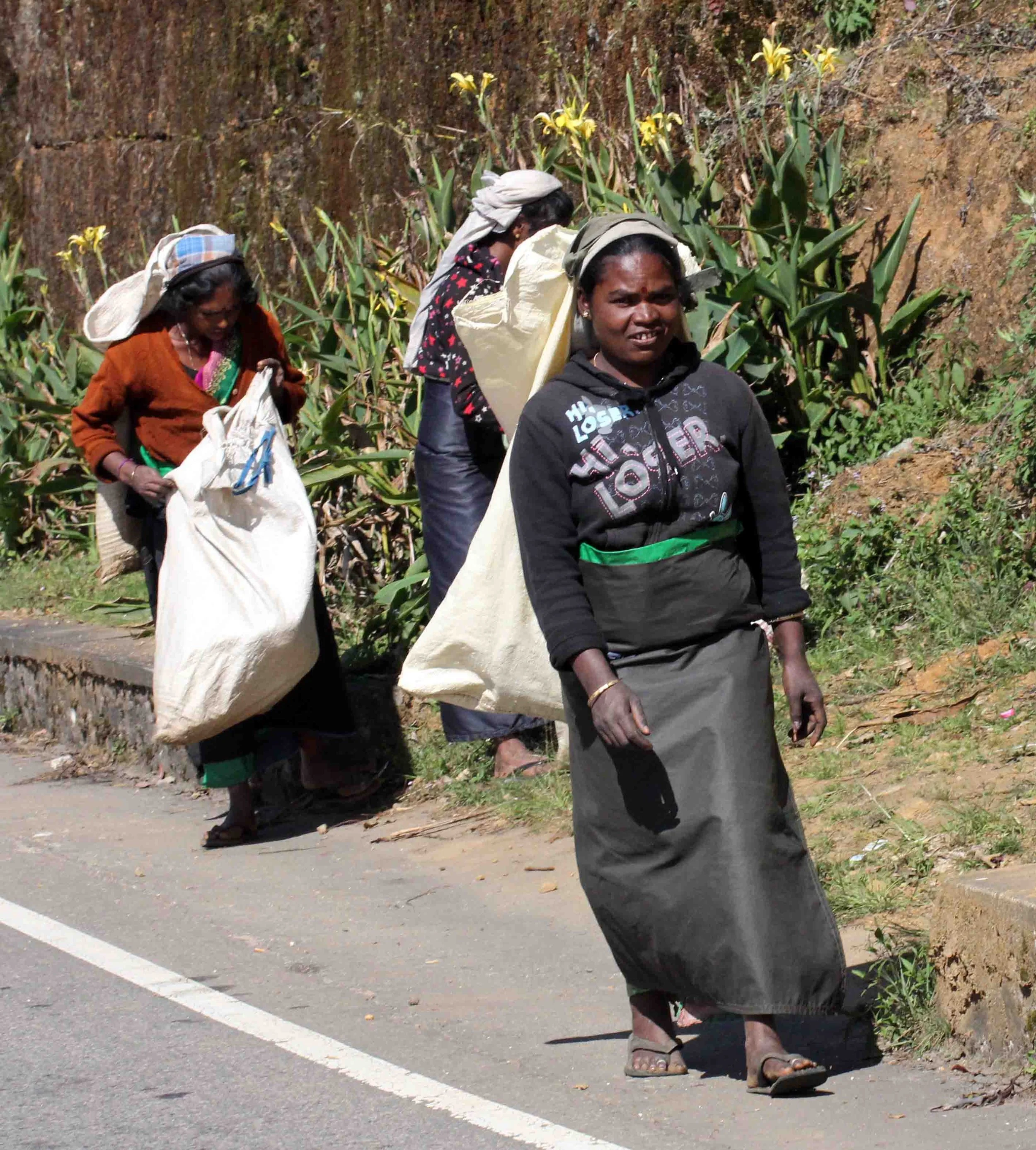 NUWARA ELIYA， HORTON PLAINS NATIONAL PARK,  SRI LANKA (48).JPG
