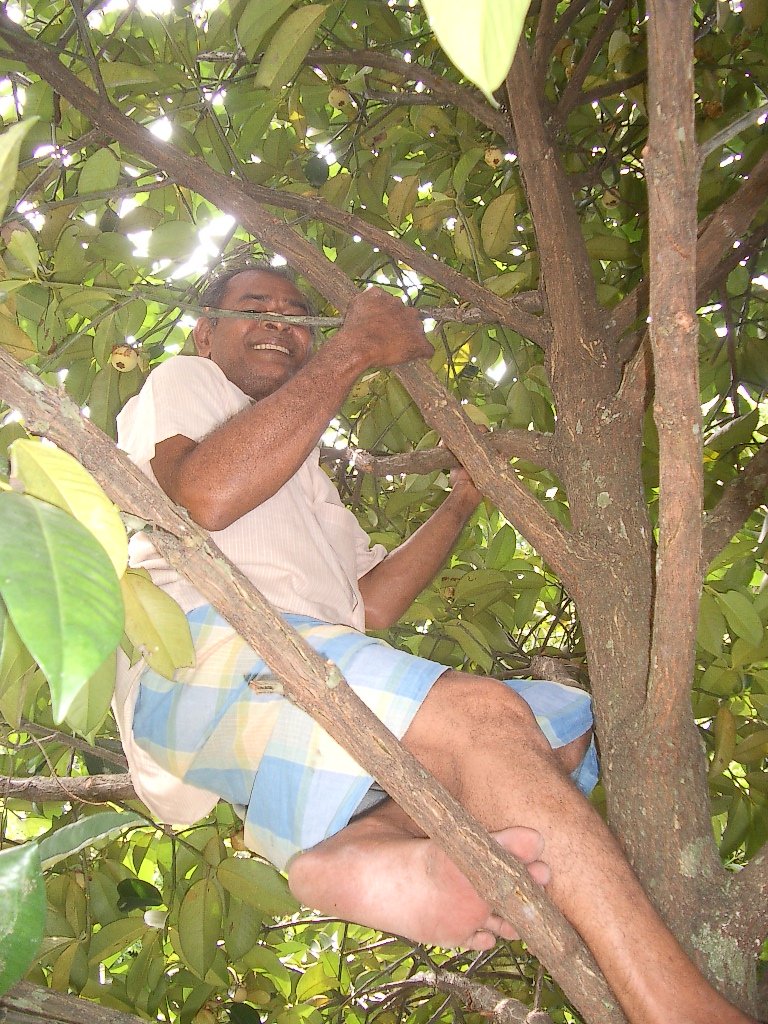 2004 Nakhonsithammarat with Family  (7).JPG