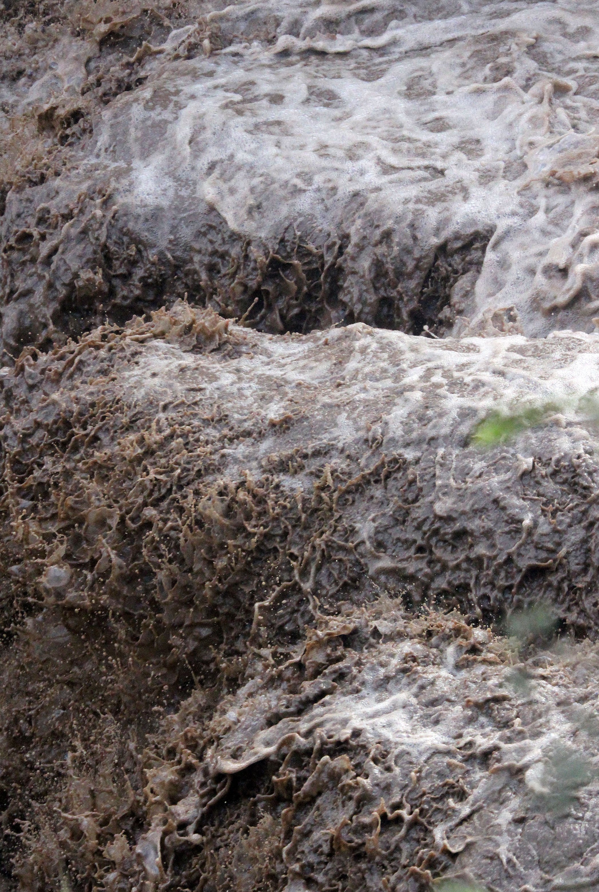 AWASH NATIONAL PARK ETHIOPIA (34).JPG