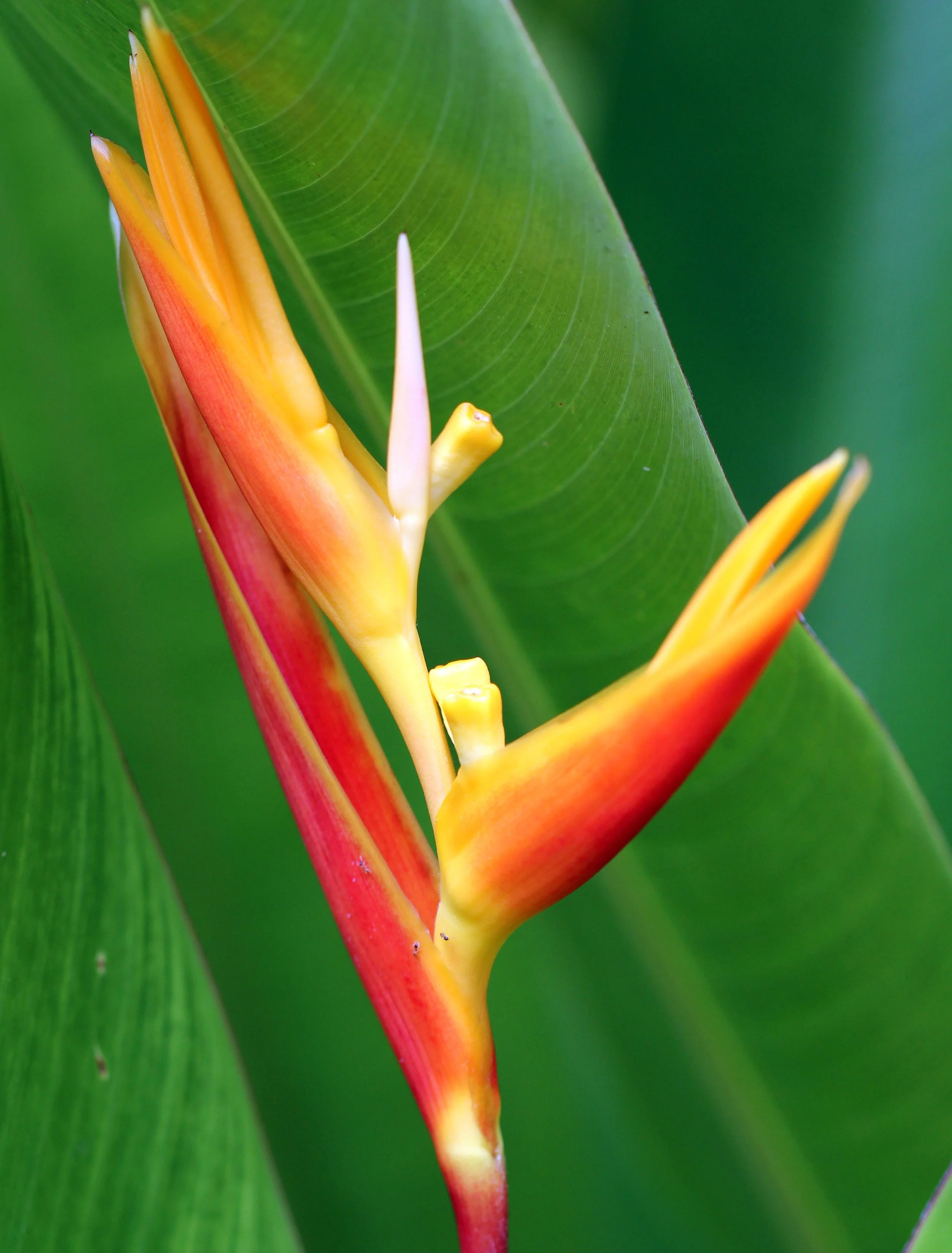 2013 Cha'am and Petchaburi with Family & Friends (59).JPG