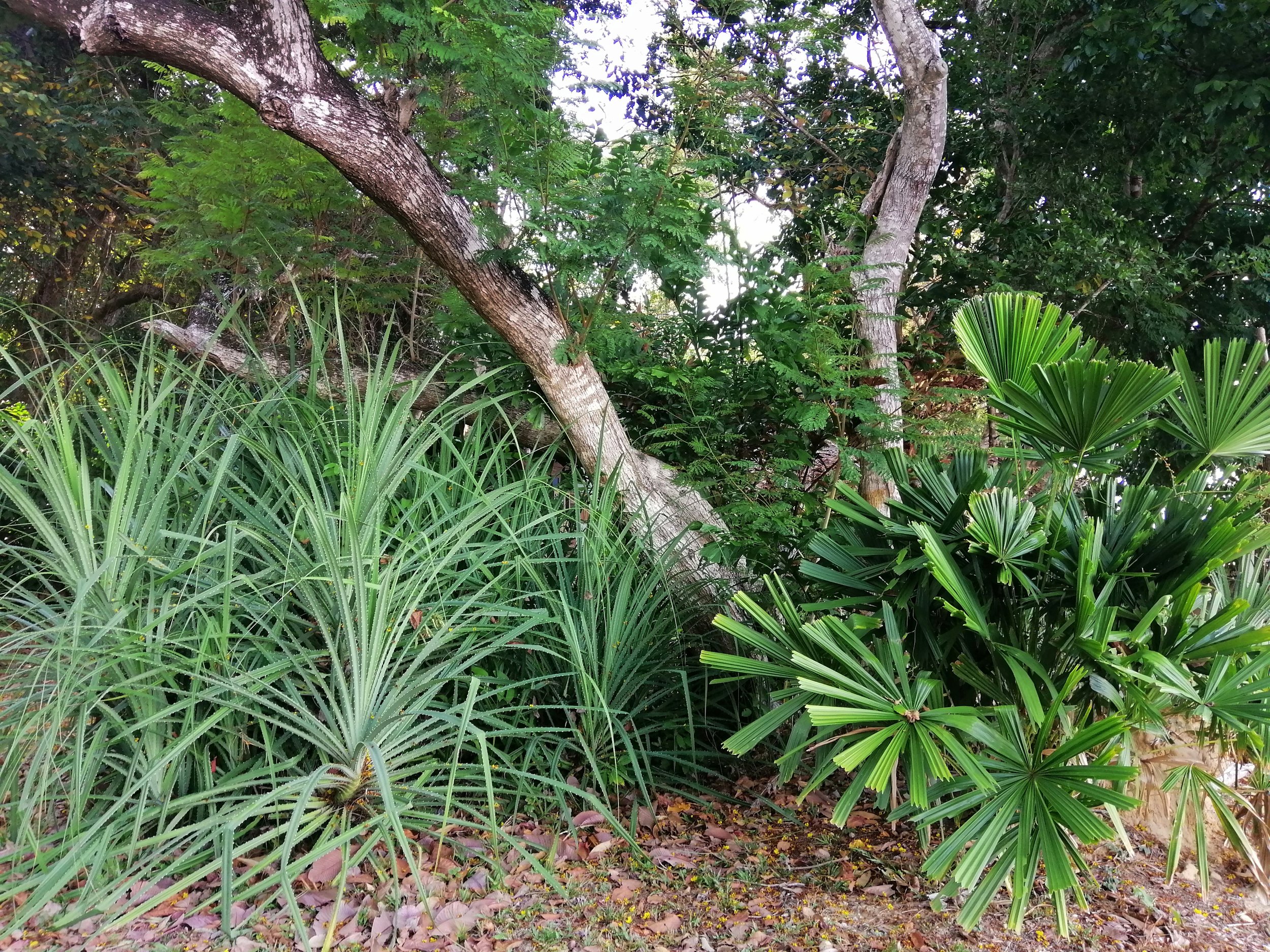 2018 Koh Lanta Misc  (181).jpg