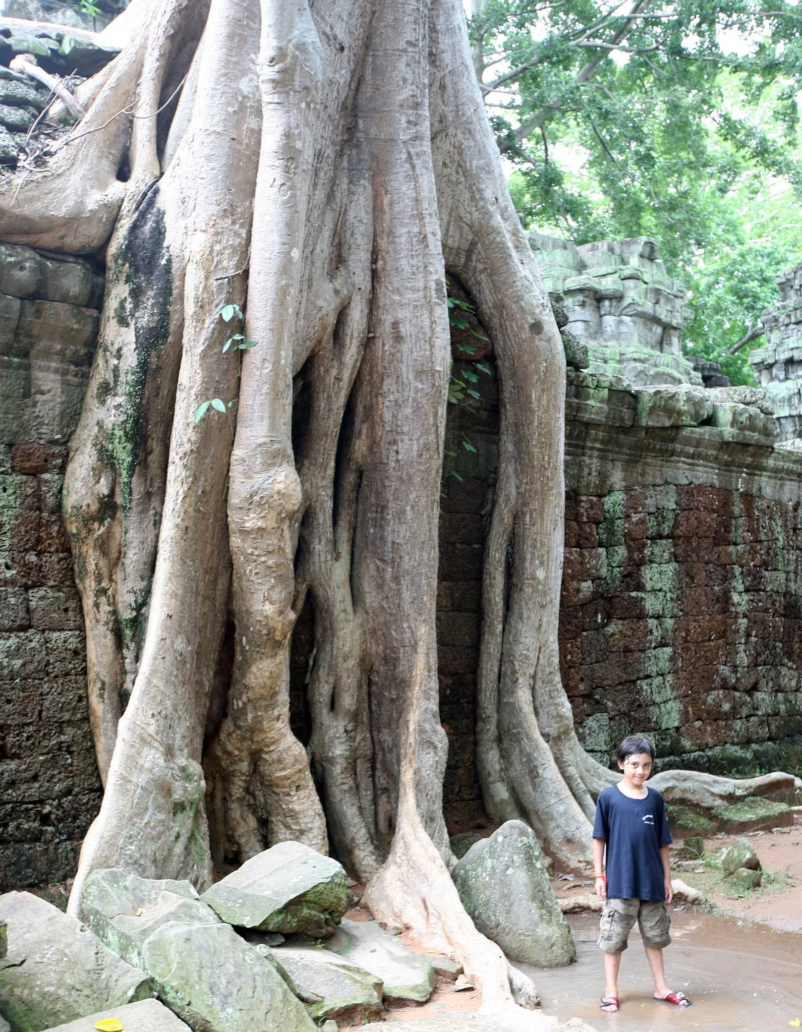 TA PROHM TEMPLE CAMBODIA - JULY 2010 (19).JPG