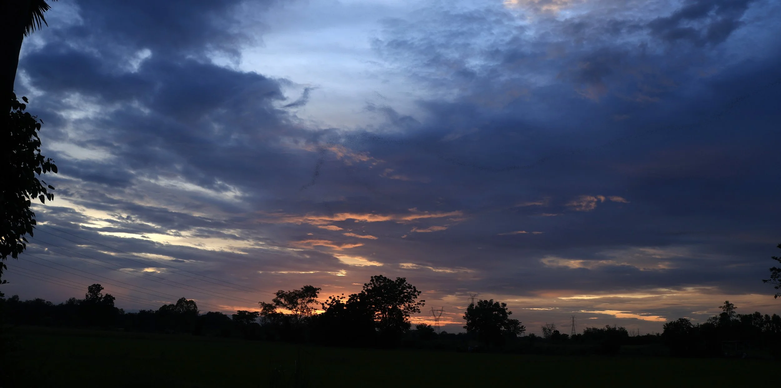 Khao Nor Khao Kaew Bat Viewing Nakhon Sawan (62).jpg