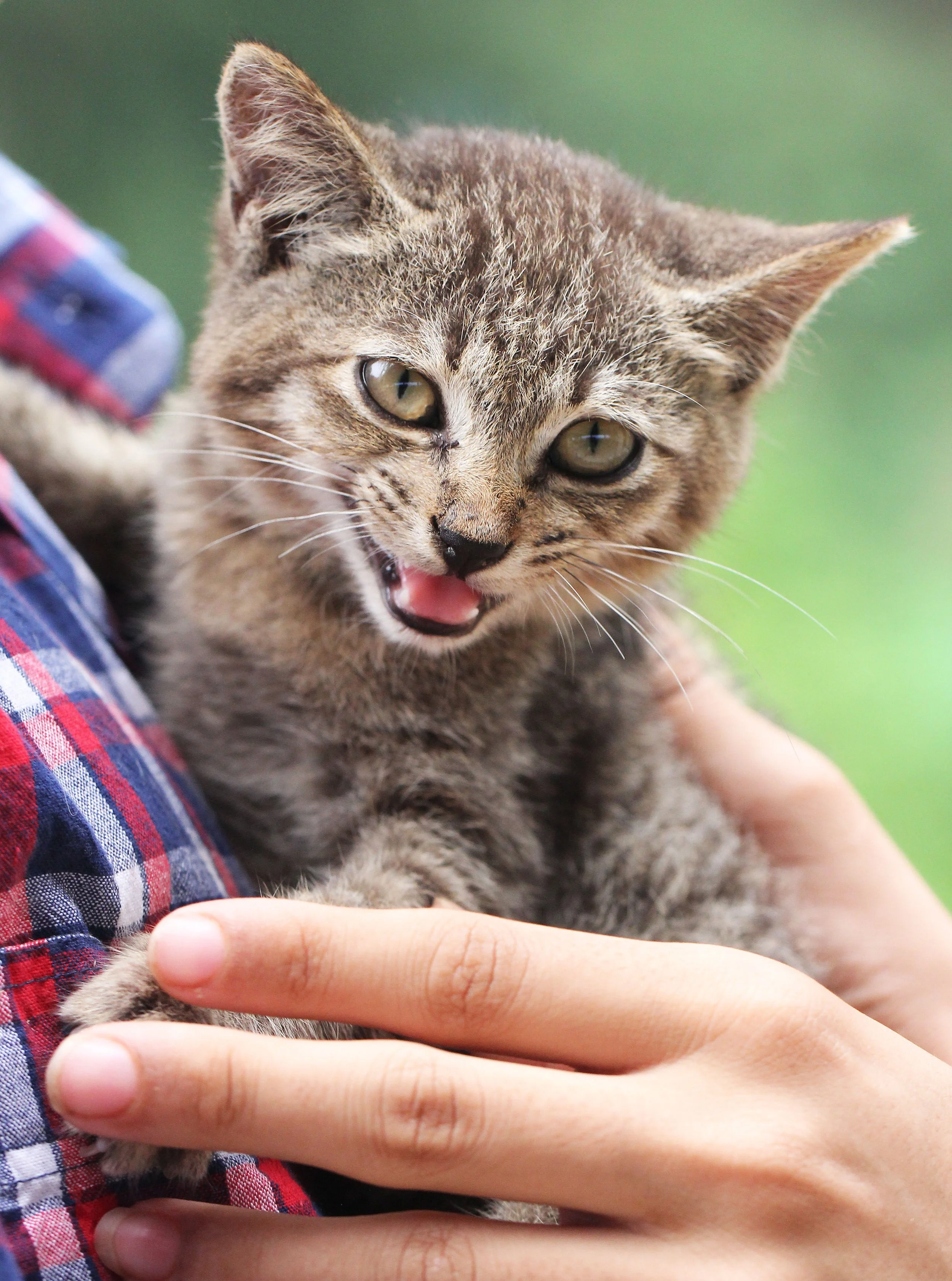 2015 Koh Lanta October Break Trip  (262).JPG