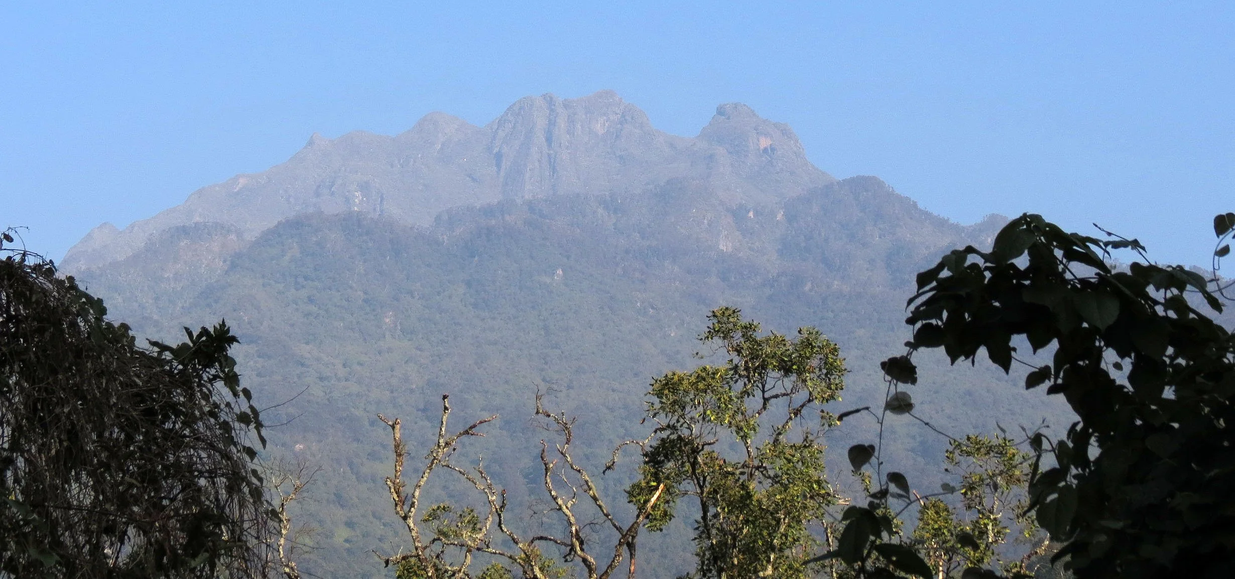 RWENZORI NATIONAL PARK UGANDA (73).JPG