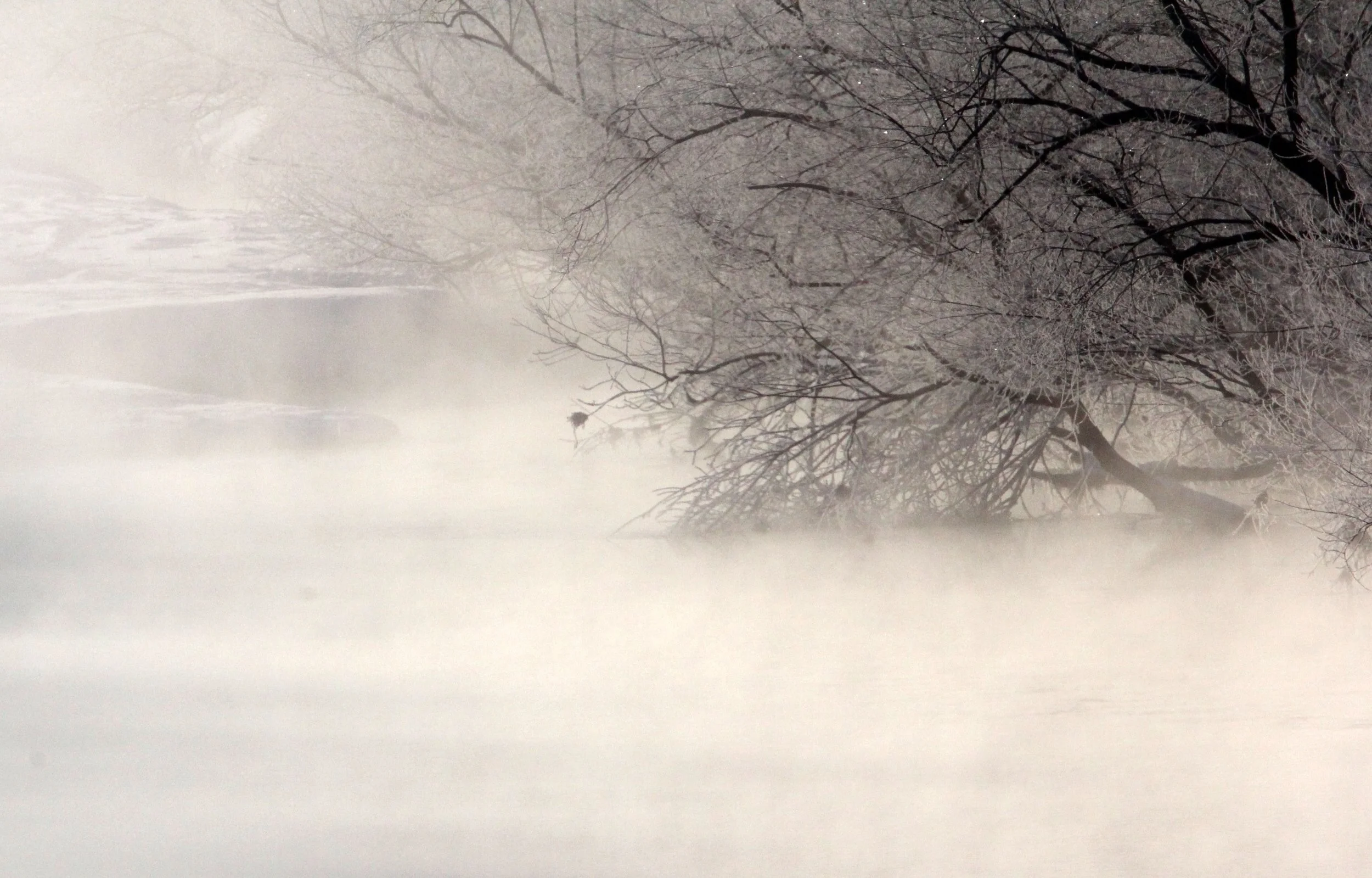 OTOWABASHI SETSUGAWA - TSURUI TOWN - HOKKAIDO JAPAN (43).JPG