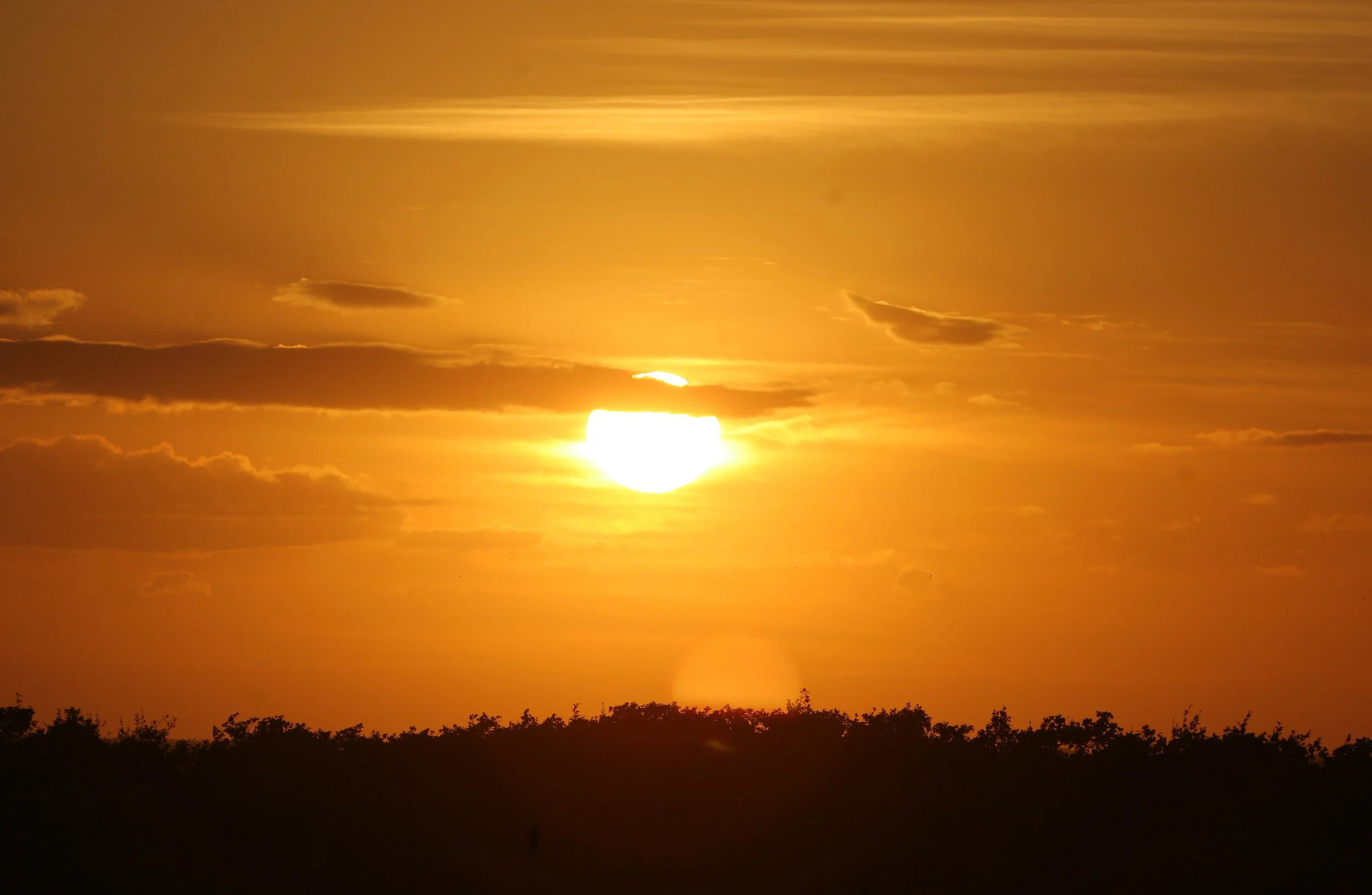 ARANZAS NWR - TEXAS (6).jpg