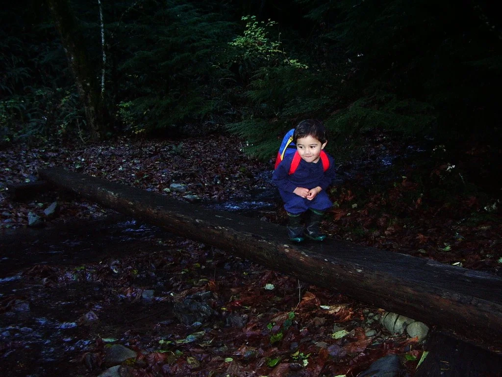 2004-11-18 HIKE WITH COKIE IN THE FOREST (6).JPG