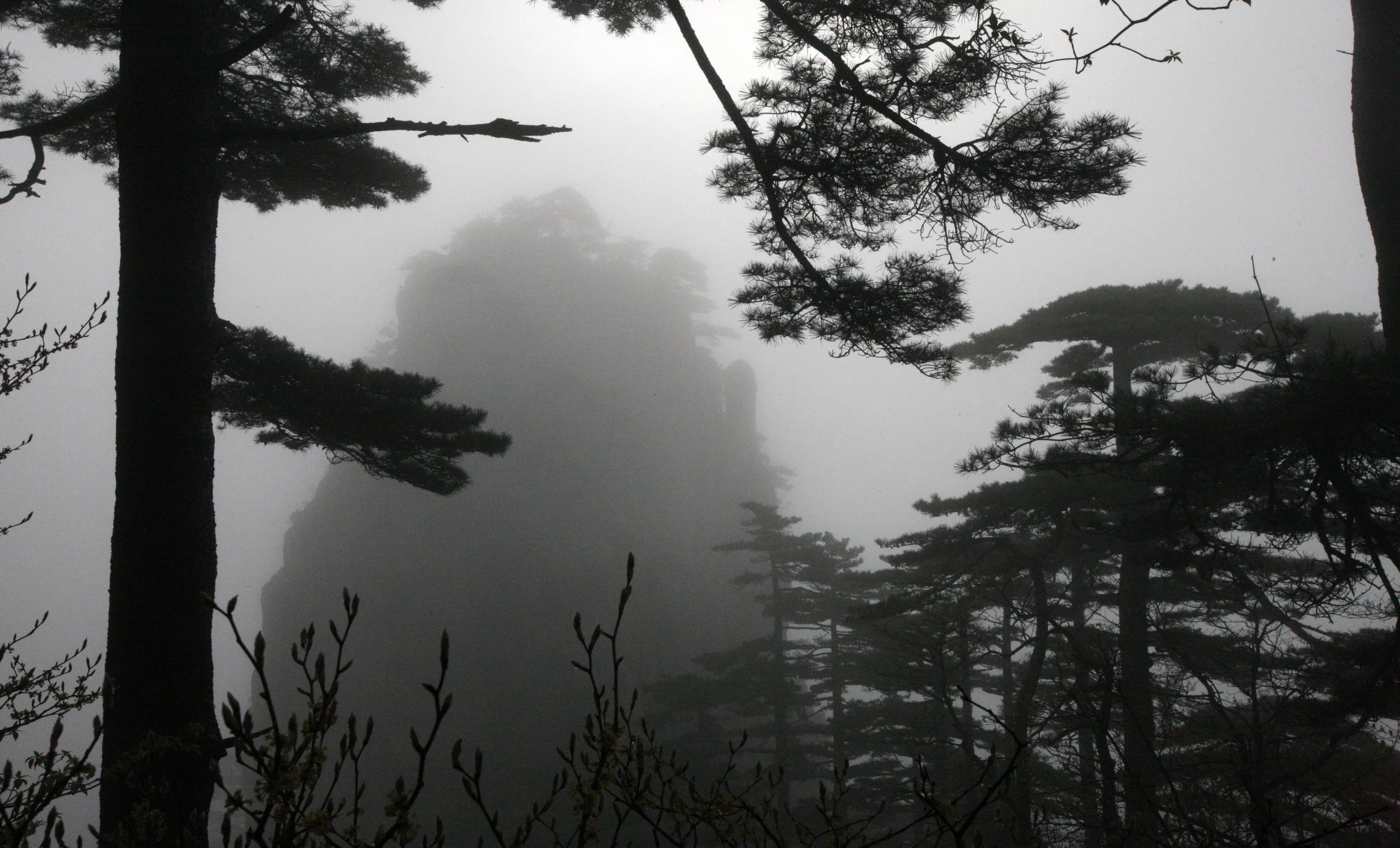 HUANGSHAN NATIONAL PARK ANHUI PROVINCE CHINA (194).JPG