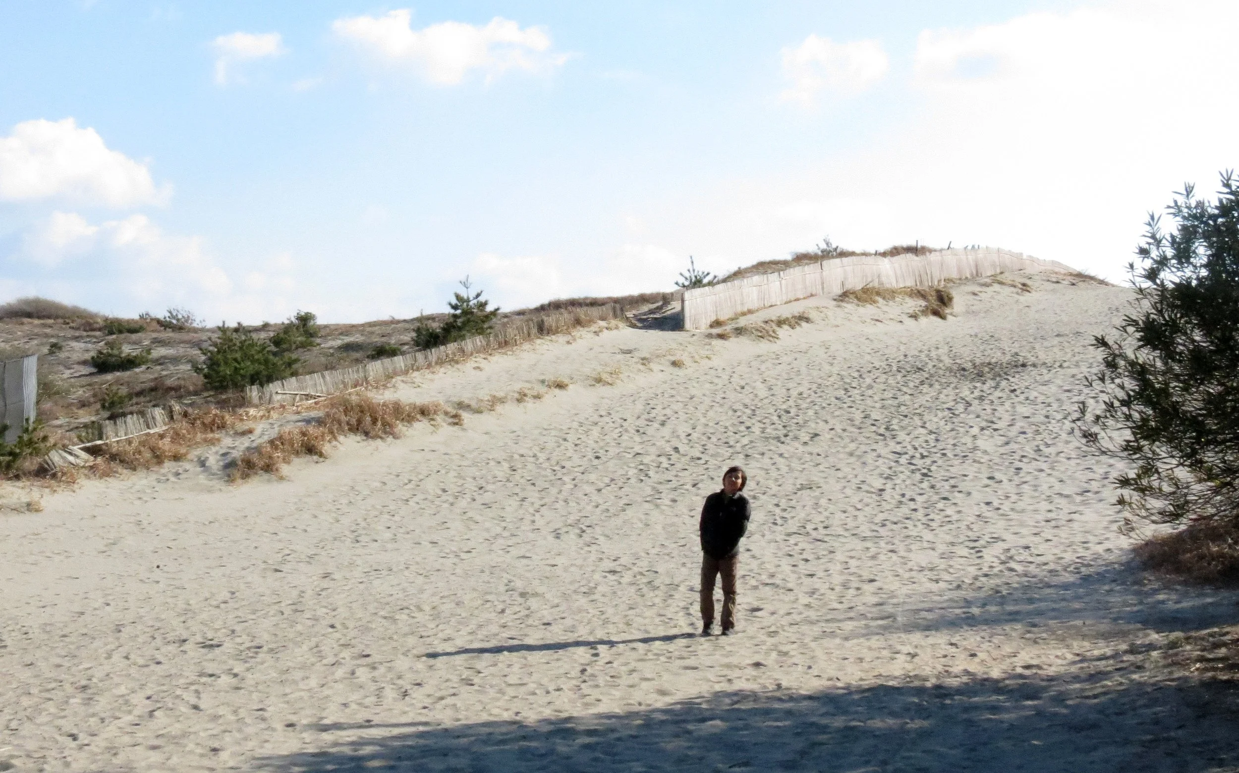 SHIZUOKA COASTLINE JAPAN (7).JPG