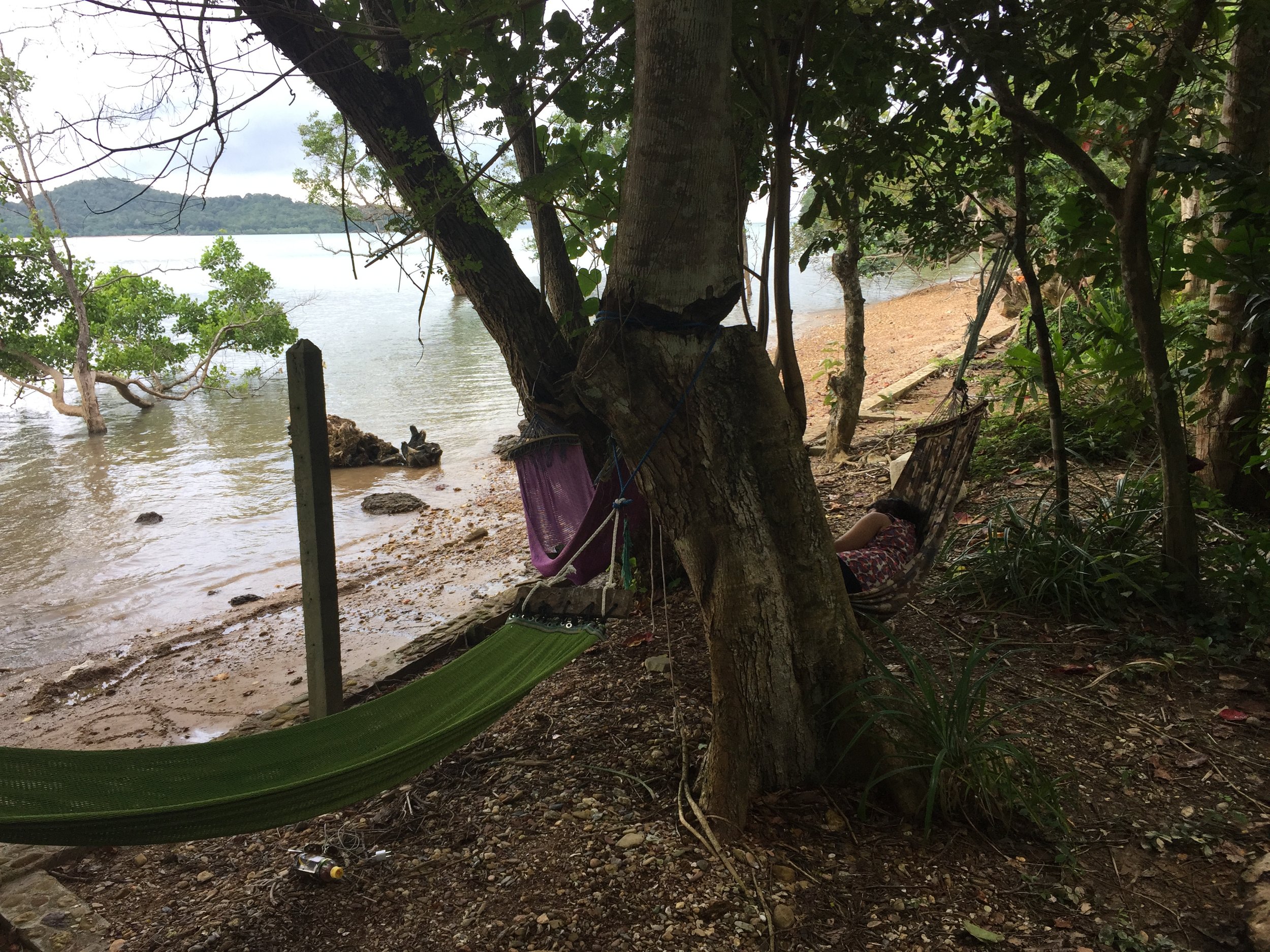 2015 Koh Lanta Garden & Nature (274).JPG